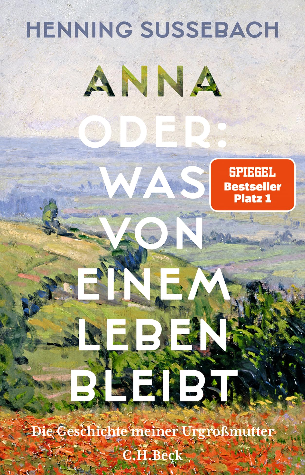 Anna oder: Was von einem Leben bleibt: Die Geschichte meiner Urgroßmutter
