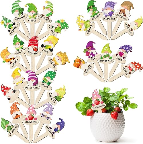 Qunclay 30 marcadores de plantas de gnomo, divertidas etiquetas de madera para jardín, tipo T, marcadores para plantas, verduras, flores, estacas al