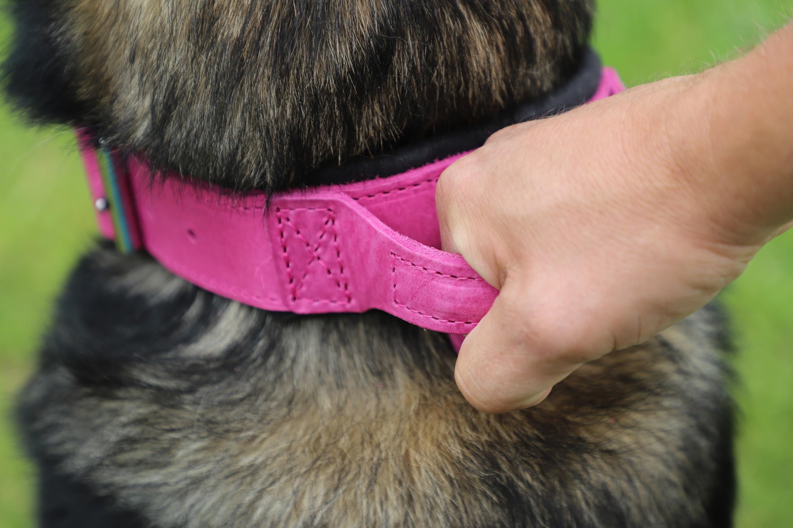 Dingo Gear Collar para Perro Drago de Cuero, Amortiguado con Asa Ancha y Fuerte, Hecho a Mano, Circunferencia del Cuello 40-48 cm, para Entrenamiento y Paseos, Marrón (S03910)