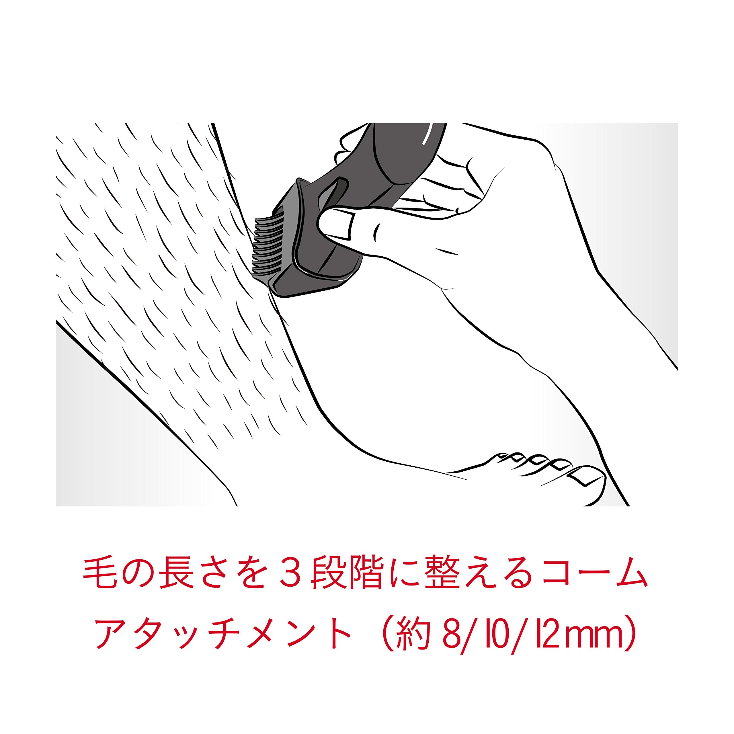 Amazon.co.jp: コイズミ レッグヘアトリマー メンズビューティ