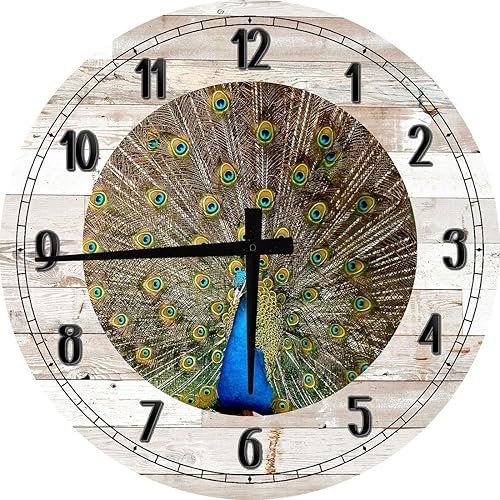 Peacock Feather Wall Art for Living Room Large Round Wall Clock Decor 24 Inch Battery Operated White