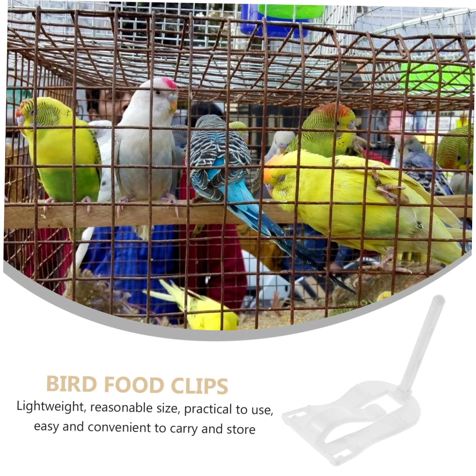 BESPORTBLE Support Os Seiche Abs pour Cage à Oiseaux Pince Alimentaire Polyvalente pour Légumes Et Friandises Accessoire Adapté Perruches Canaris Cockatiels Finches