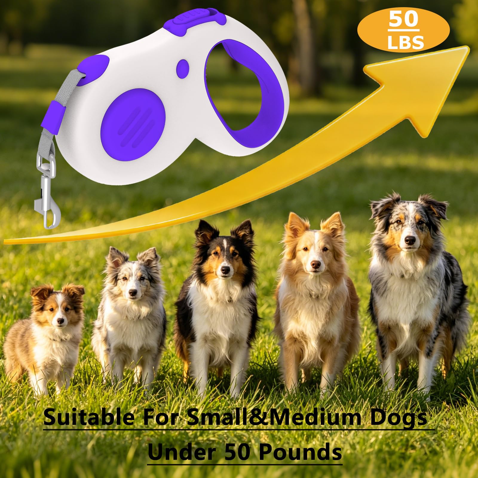 View 6