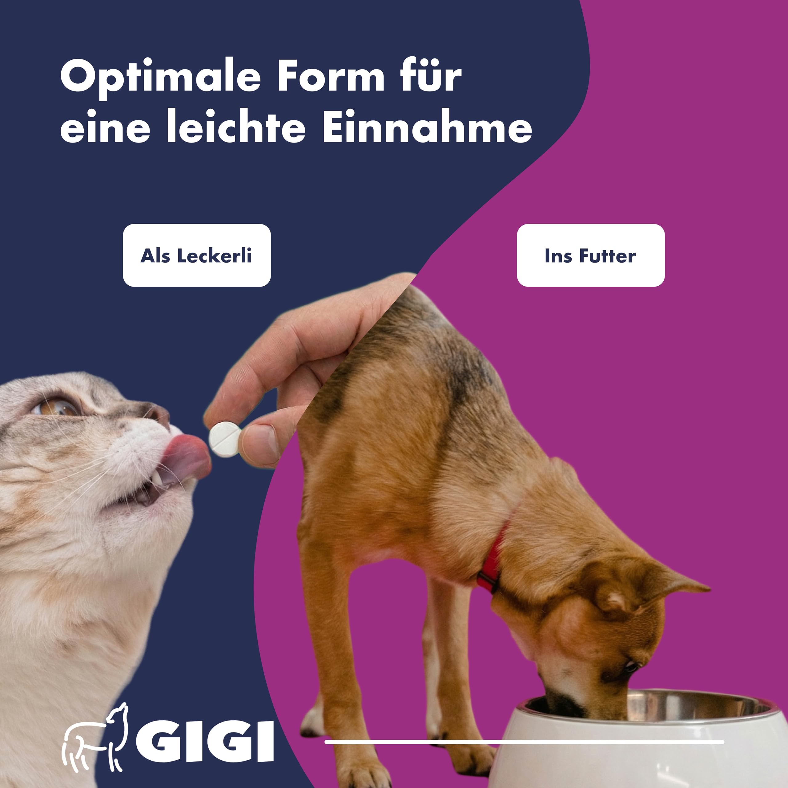 Compresse per urina e vescica per cani e gatti, supporto del tratto urinario in caso di debolezza vescica e incontinenza, con mirtillo, foglie di uva d'orso e vitamina C, gustose compresse masticabili