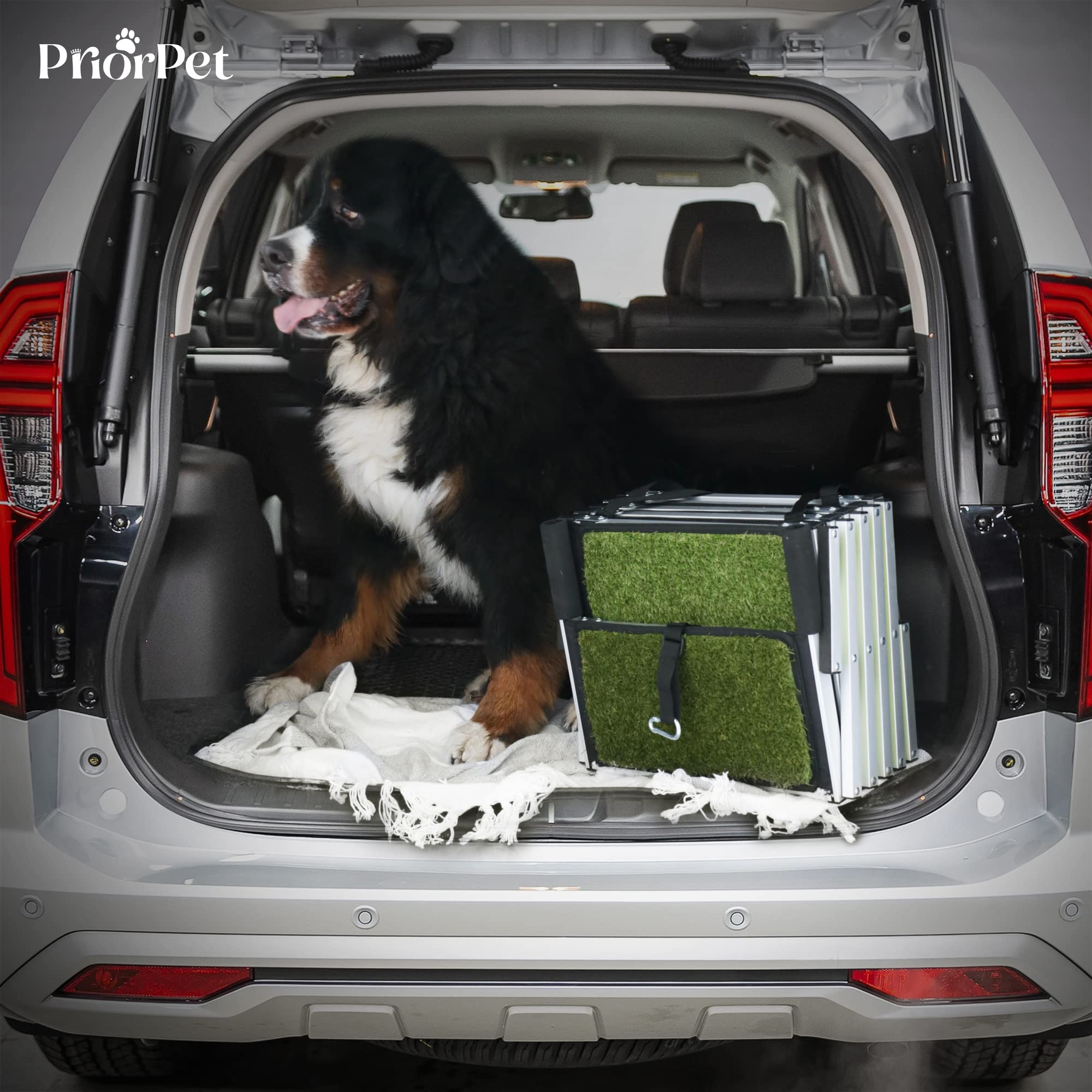 Escalera para Perros pequeños y Grandes - Marca Que Brilla en la Oscuridad - Superficie de césped Artificial Antideslizante - Rampa de Coche Plegable - Apto para Todos los Coches - 5 Escalones