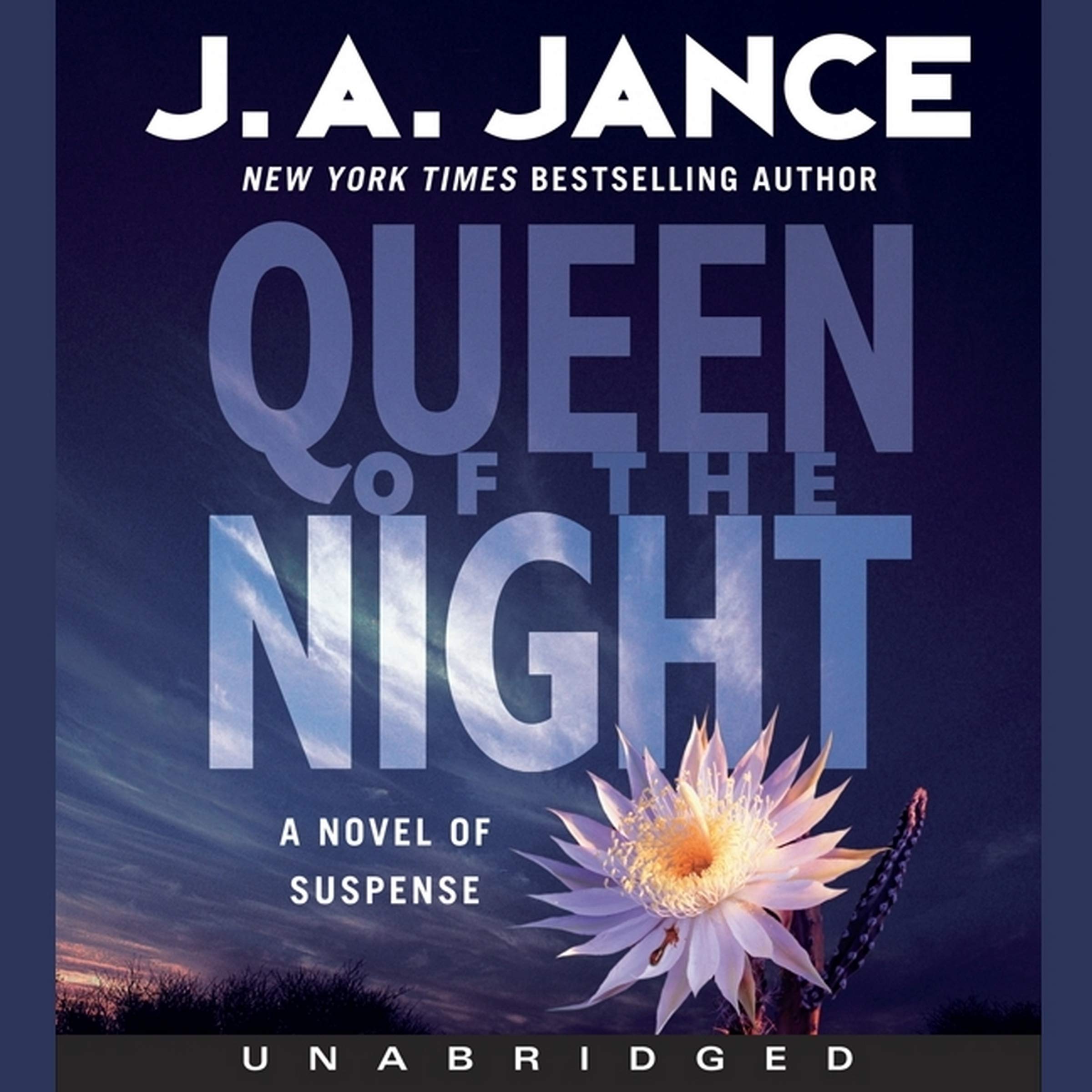 Queen of the Night Low Price: A Novel of Suspense