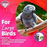 Vista 3 de Super Bird Creations SB1107 Bagel Cascade Bird juguete, tamaño grande, bagels recargables, 15 "x 4.5