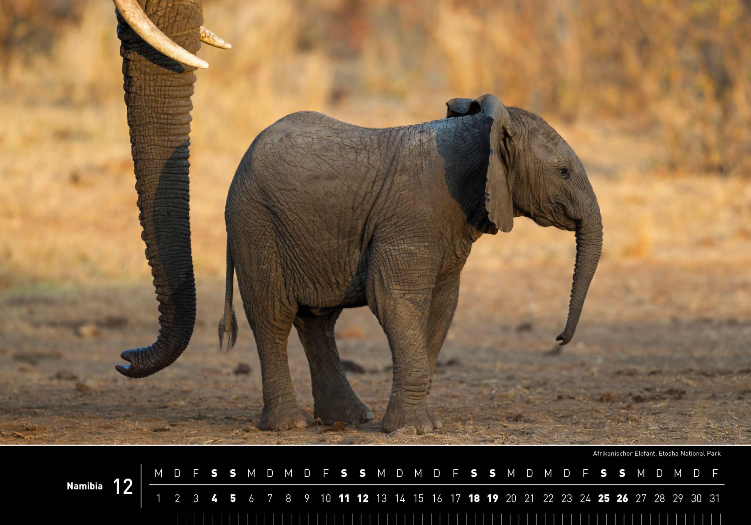 Namibia Premiumkalender 2027