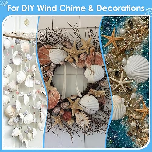 Miniatura 8 de 60PCS Large Scallop Shells for Crafts 4-5 inch Clam Shells for Decoupage Beach Natural White Seashells Bulk from Sea Beach for DIY Crafts Decorating