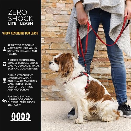 Miniatura 2 de EzyDog Zero Shock LITE - Correa elástica para perros que tiran o excitan, doble asa y reflectante para perros medianos o pequeños (72 pulgadas,