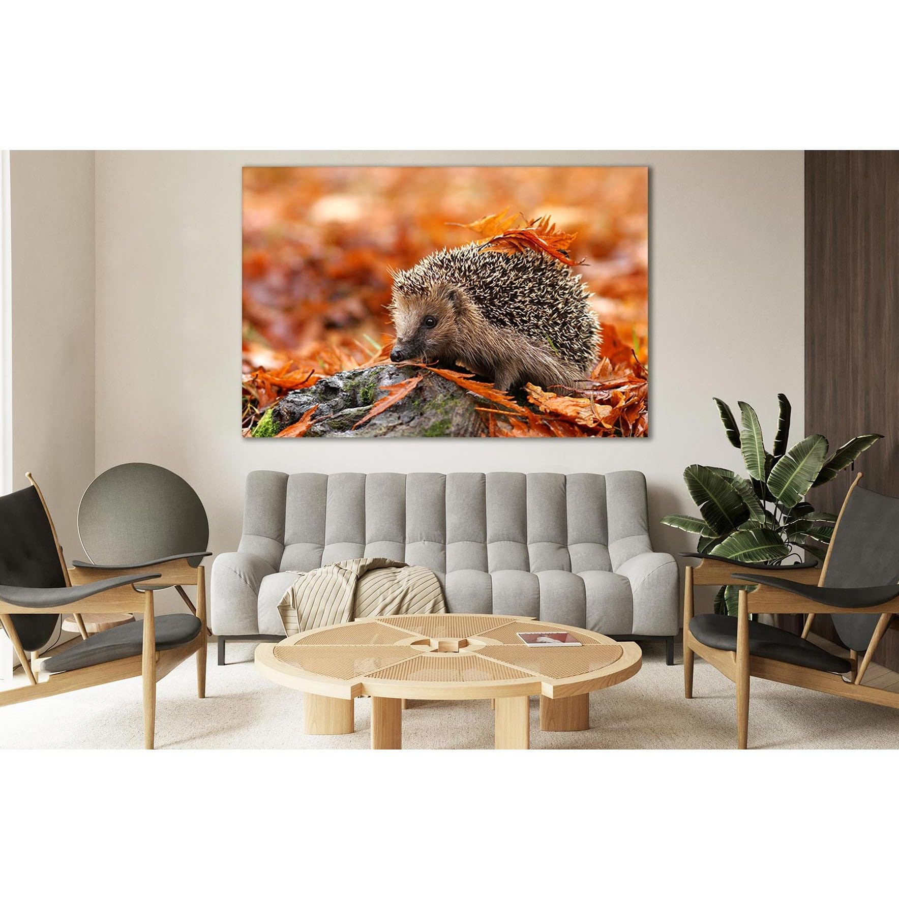 Impression sur toile hérisson ZELLART solution murale prête à poser