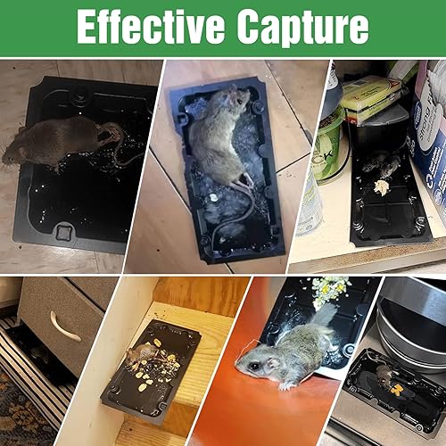 Miniatura 2 de Paquete de 20 trampas adhesivas para ratones para ratones para interiores, con sabor a maní, feromonas con sabor a maní, trampas adhesivas con