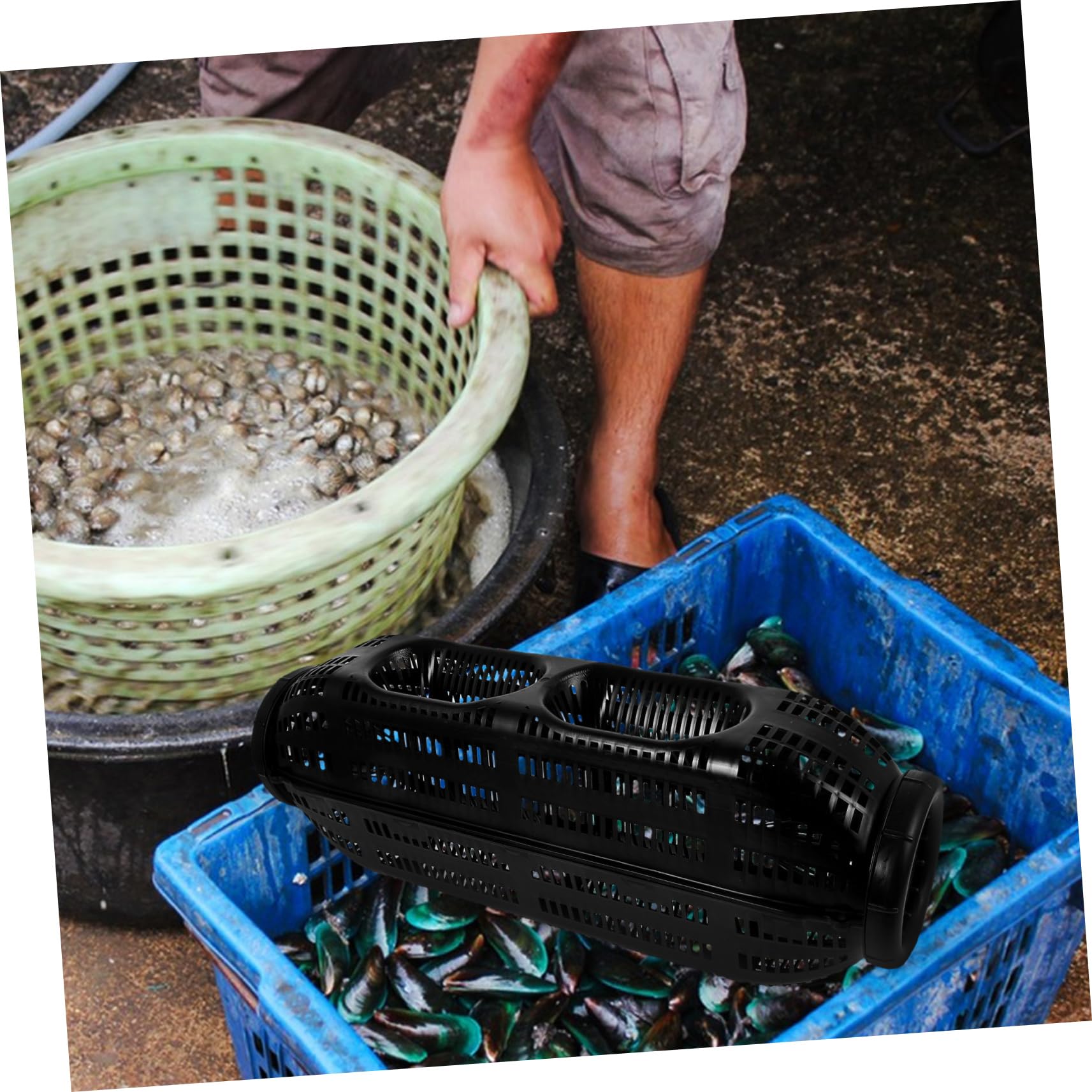 INOOMP gabbia di anguille gabbia per anguille da esca gabbia di alimentazione per esche da pesca attrezzature per la pesca alla carpa arnesi da pesca plastica Black