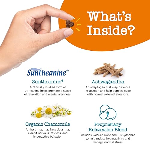 Miniatura 26 de Zesty Paws Calming Chews for Dogs Composure & Relaxation for Everyday Stress & Separation Peanut Butter 90 Count