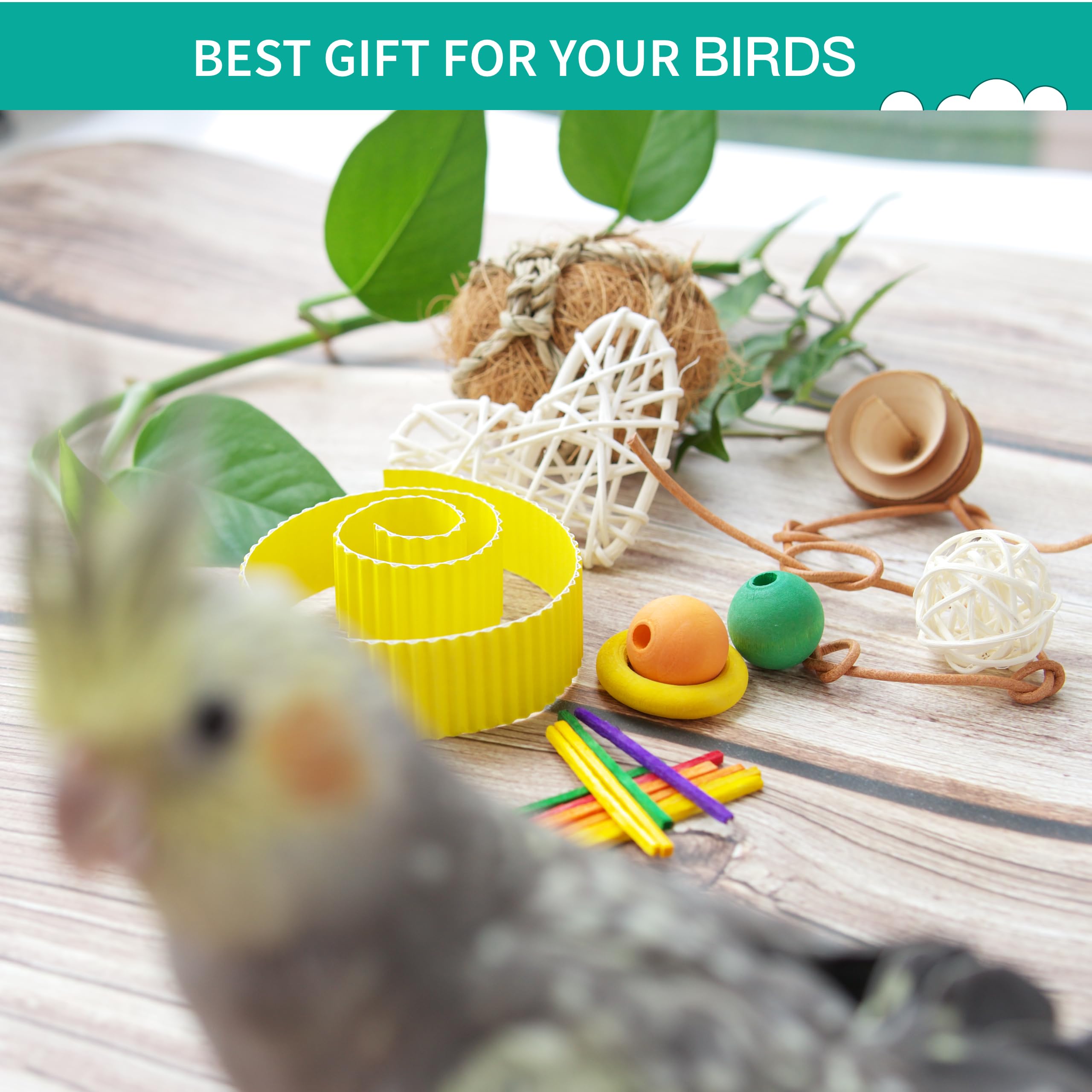 How to Make Bird Toys for Parakeets: Easy DIY Fun Ideas