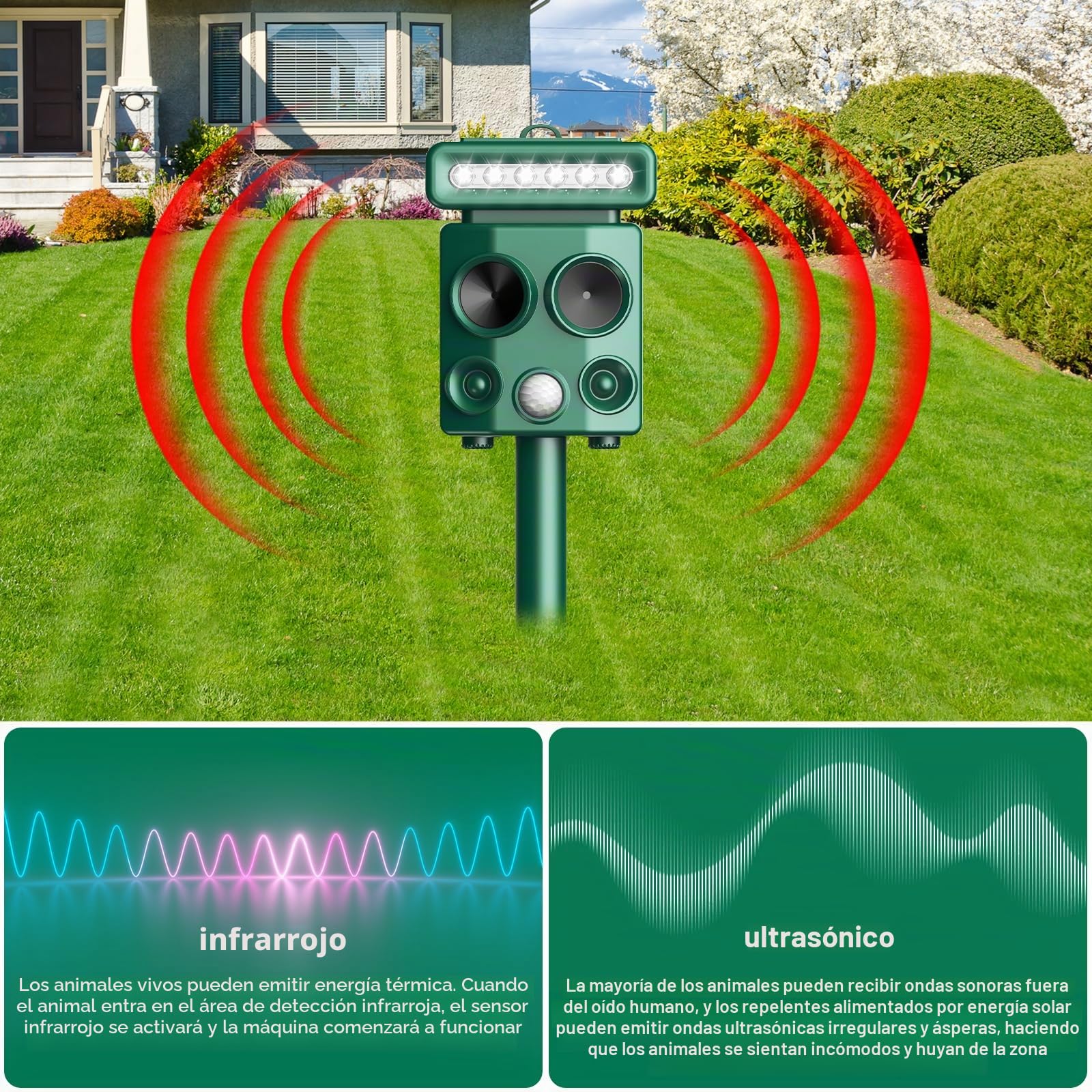 Repelente para Gatos, Ahuyentador de pájaros, IP65 Impermeable, disuasión Solar ultrasónico, Ahuyentador de Ratas con LED Intermitentes, Perros, Ratones, Zorros