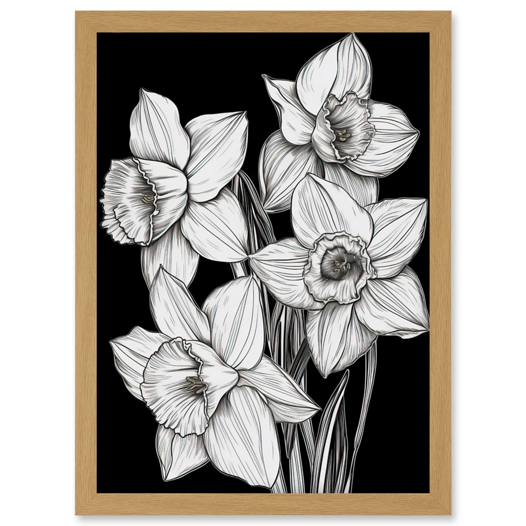 Artery8 Daffodil Wildflower Plant Blooms Black and White Artwork Framed Wall Art Print A4