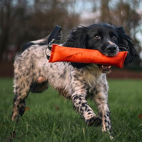 Miniatura 2 de Fenrir Juguete de remolcador resistente a las mordeduras para masticadores agresivos, manguera de fuego para perros grandes, sin chirriantes, mango