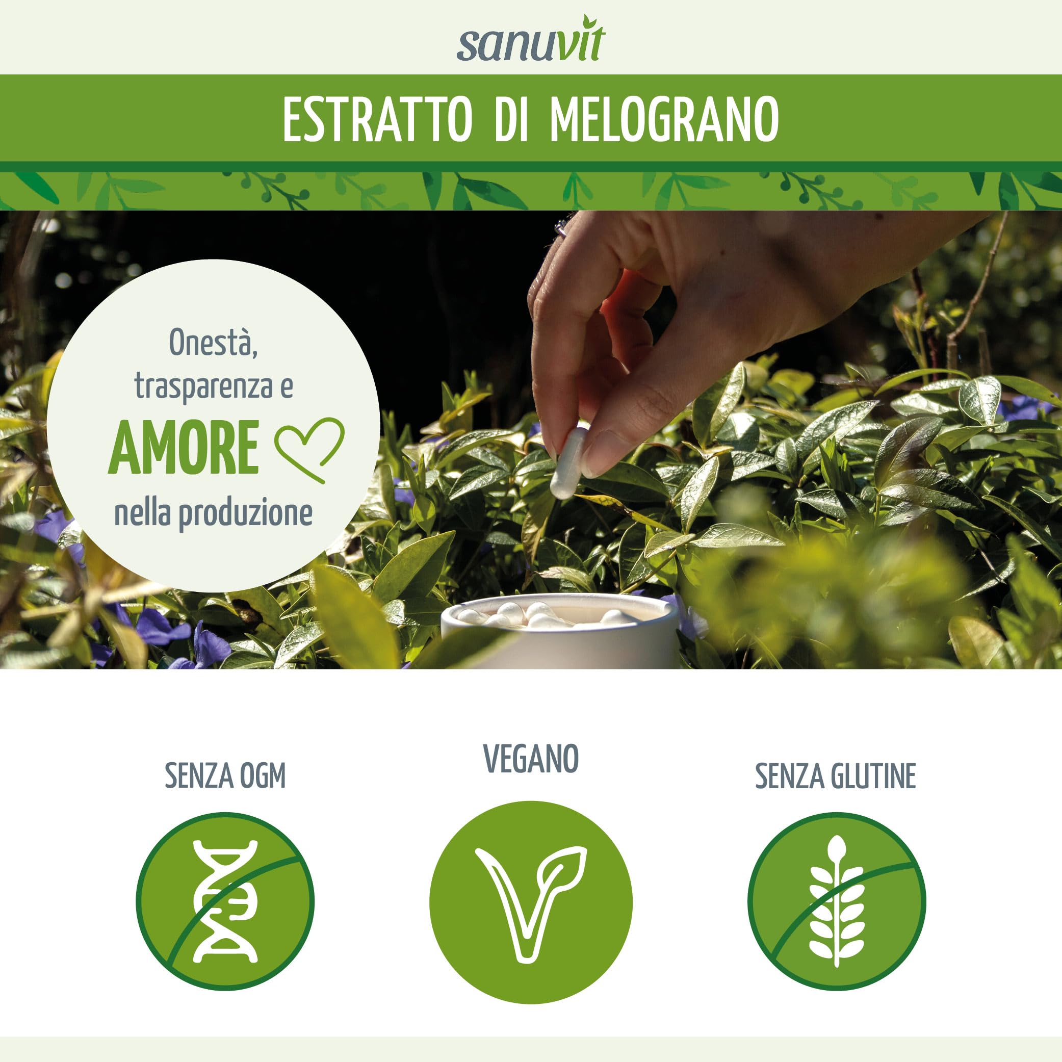 Sanuvit® - Estratto di melograno 600 mg | 120 capsule | 120 mg di acido ellagico e 120 mg di punicalagina | Protezione attiva delle cellule | Antiossidanti altamente concentrati | Vegan