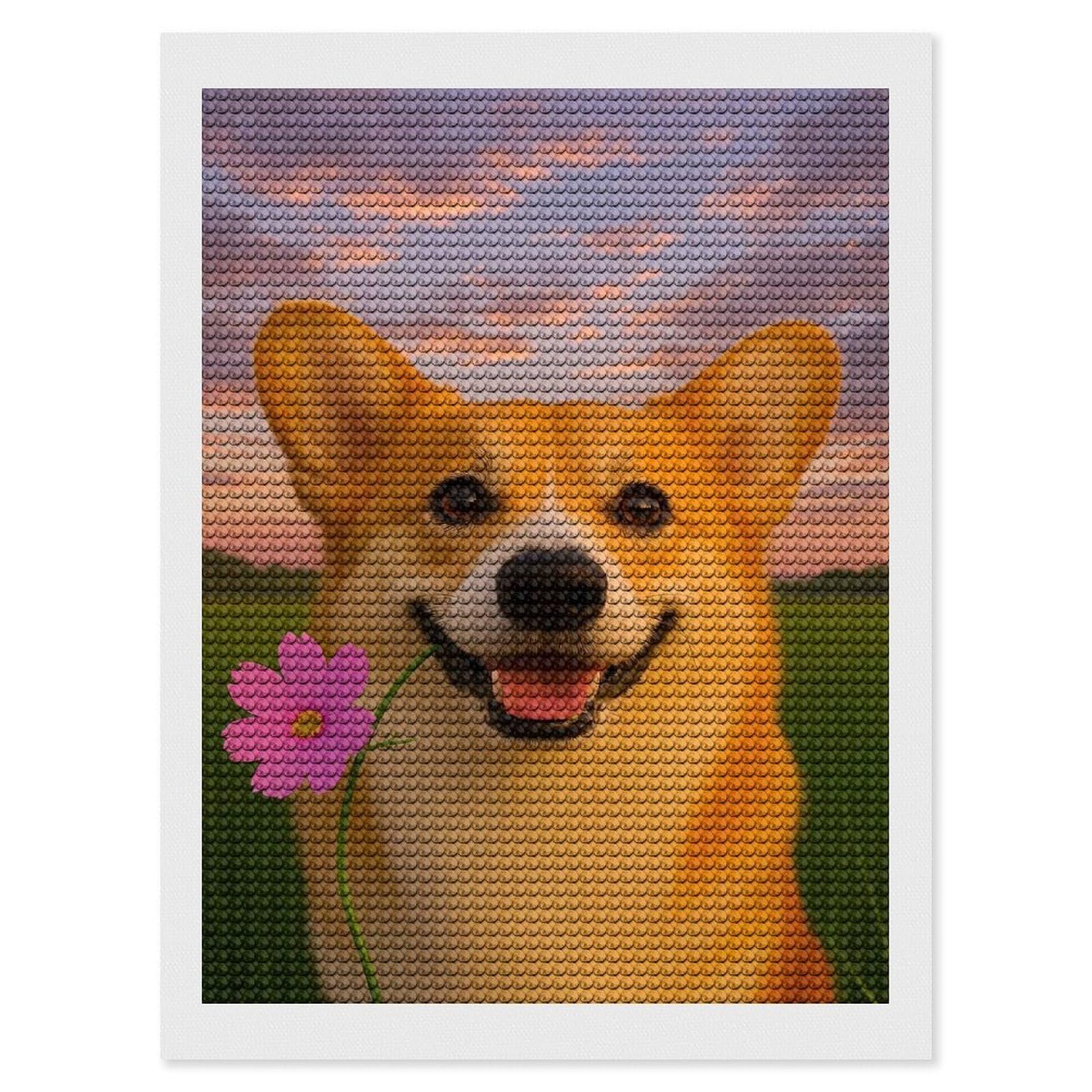 Junmoney Smiling Corgi with Flower Diamond Painting Kit 12"x16", Thoughtful Handmade Gift, for Creative Relaxation, Printed Canvas, Cosy Home Accent