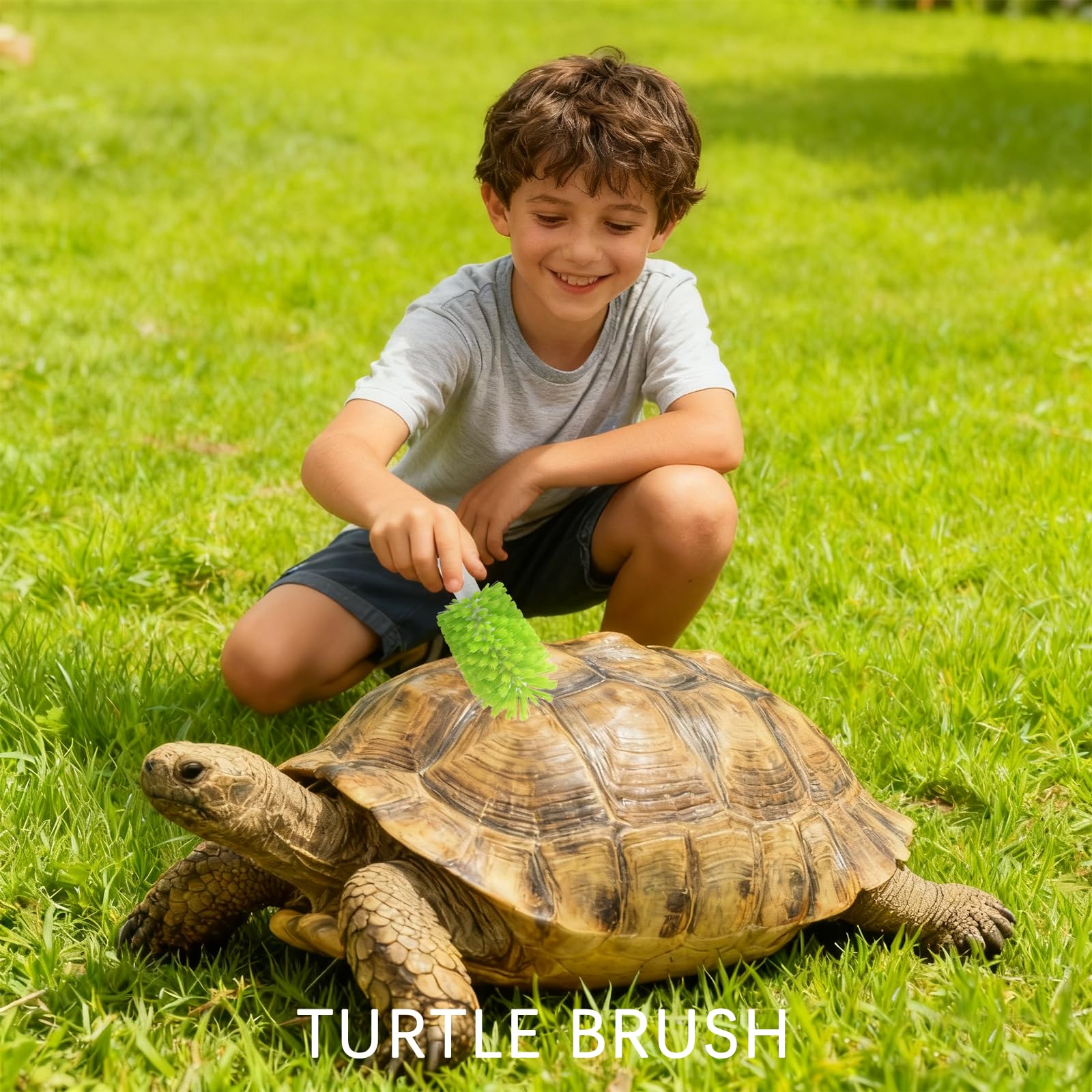 Brosse de nettoyage en forme de coquille de tortue verte avec ventouse, outils de cuisine pour la maison, brosse exfoliante pour tortue accessoires de réservoir