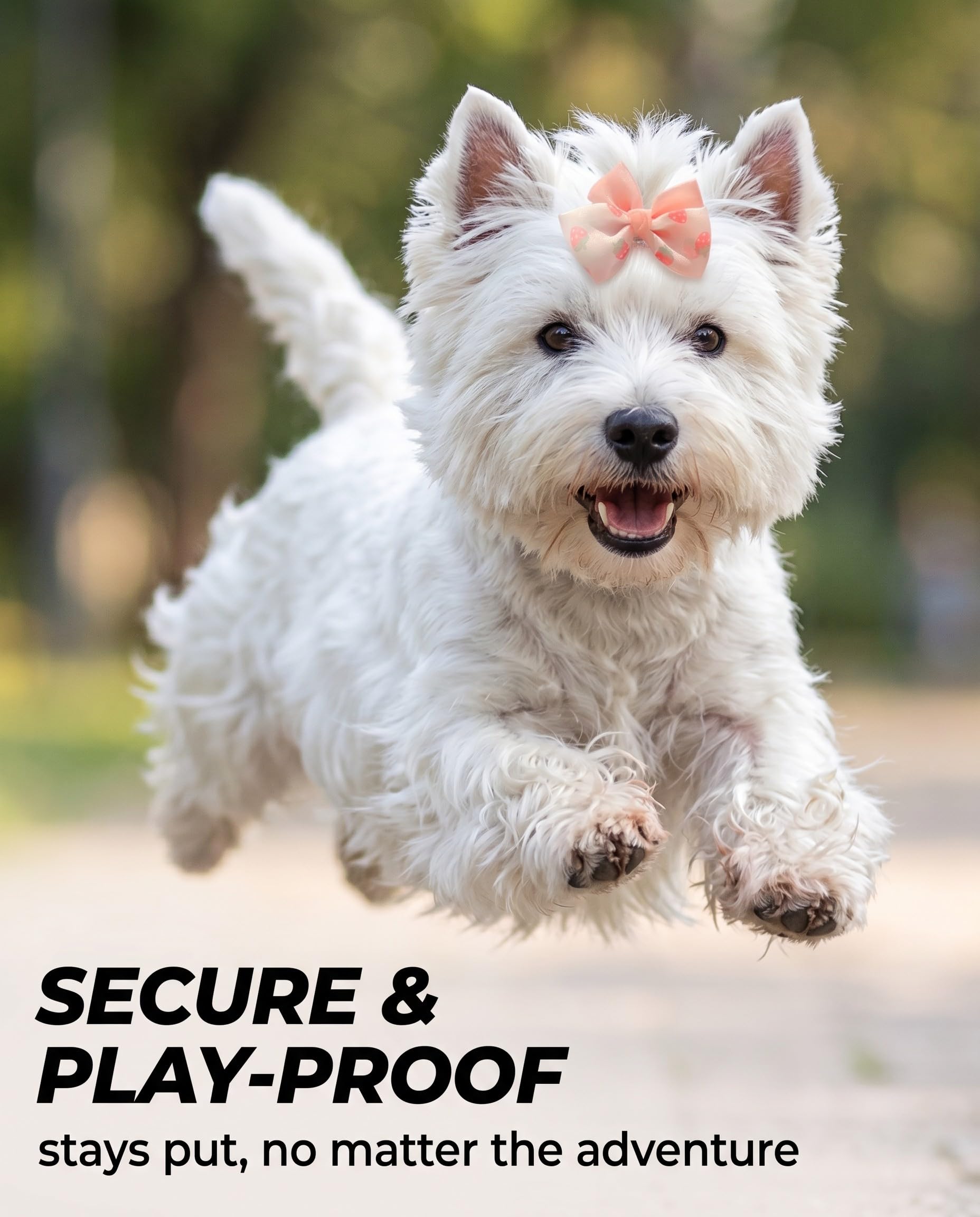 Fiocchi per Cani & Gatti, 10 Pezzi Rosa in Plastica. Leggeri Fermagli per Cuccioli con Presa Sicura – Ideali per Toelettatura, Feste, Servizi Fotografici & Charme Quotidiano.