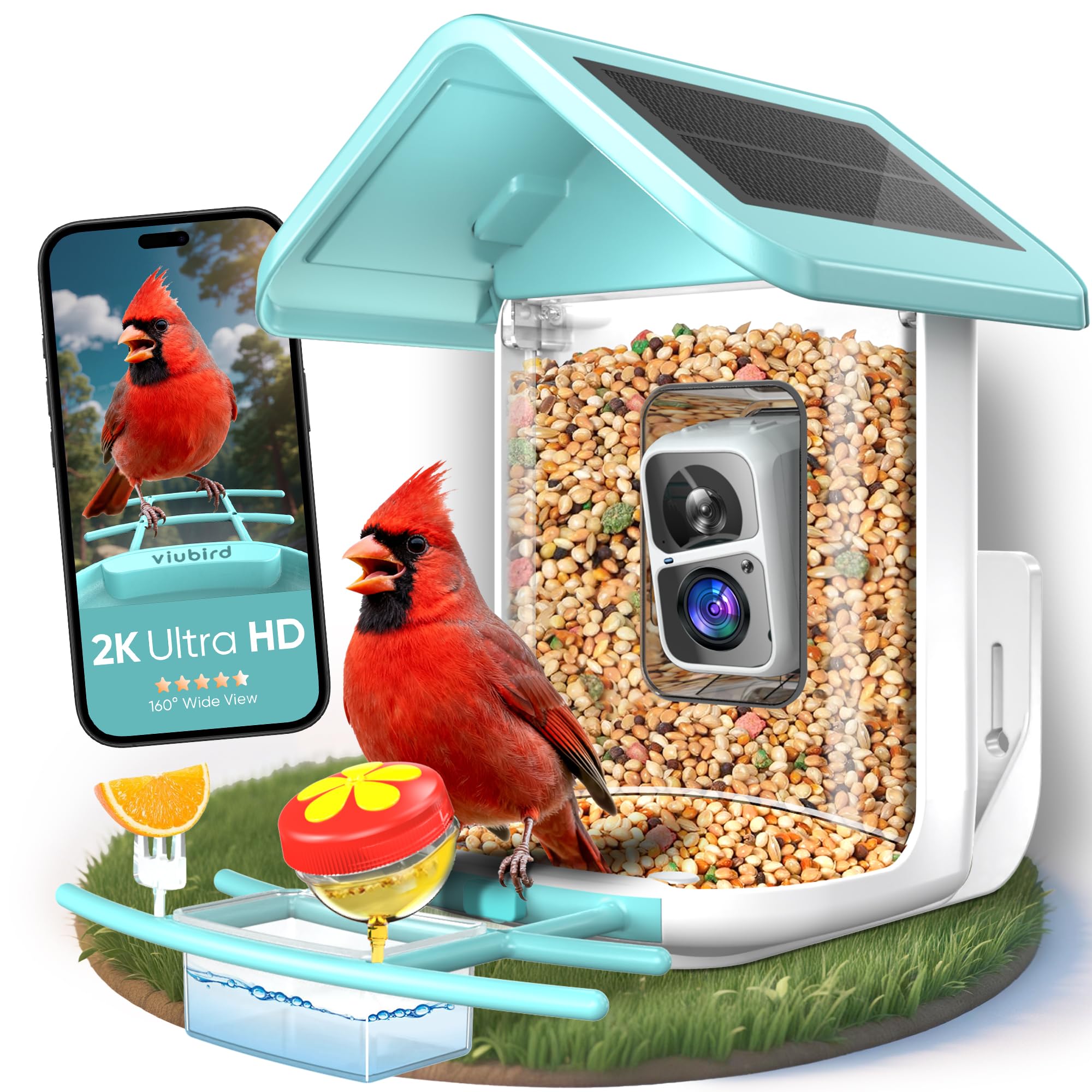 VIUBIRD Solar Bird Feeder Camera