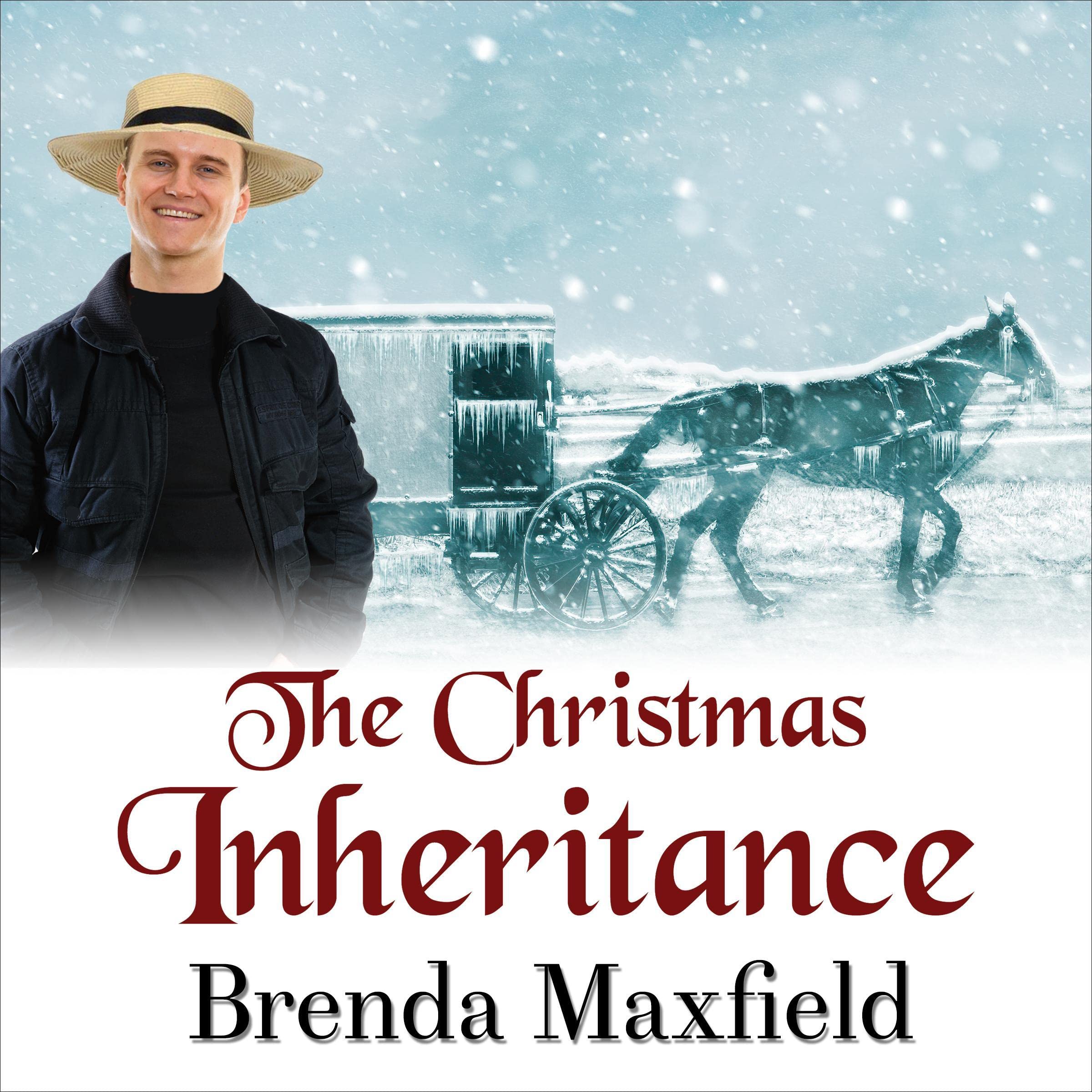 The Christmas Inheritance
