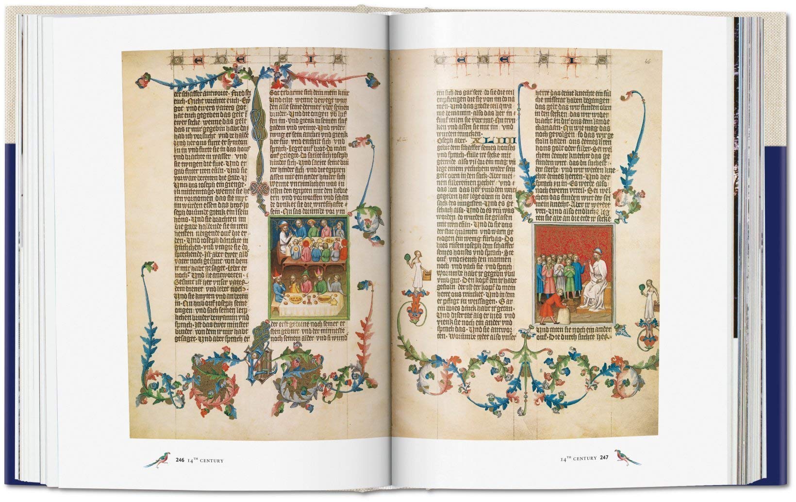 Codices illustres