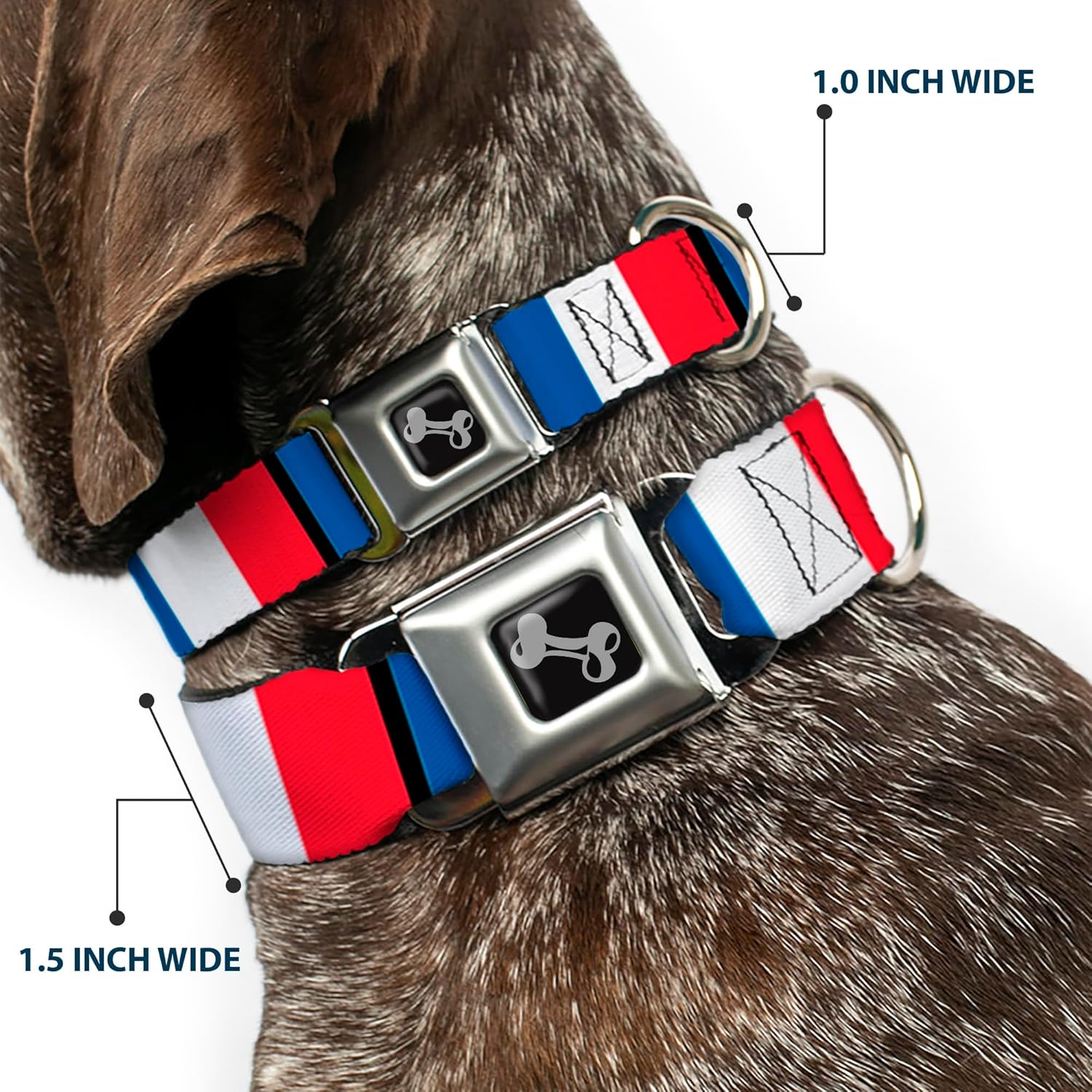 Buckle-Down Seatbelt Buckle Dog Collar - France Flags - 1" Wide - Fits 15-26" Neck - Large
