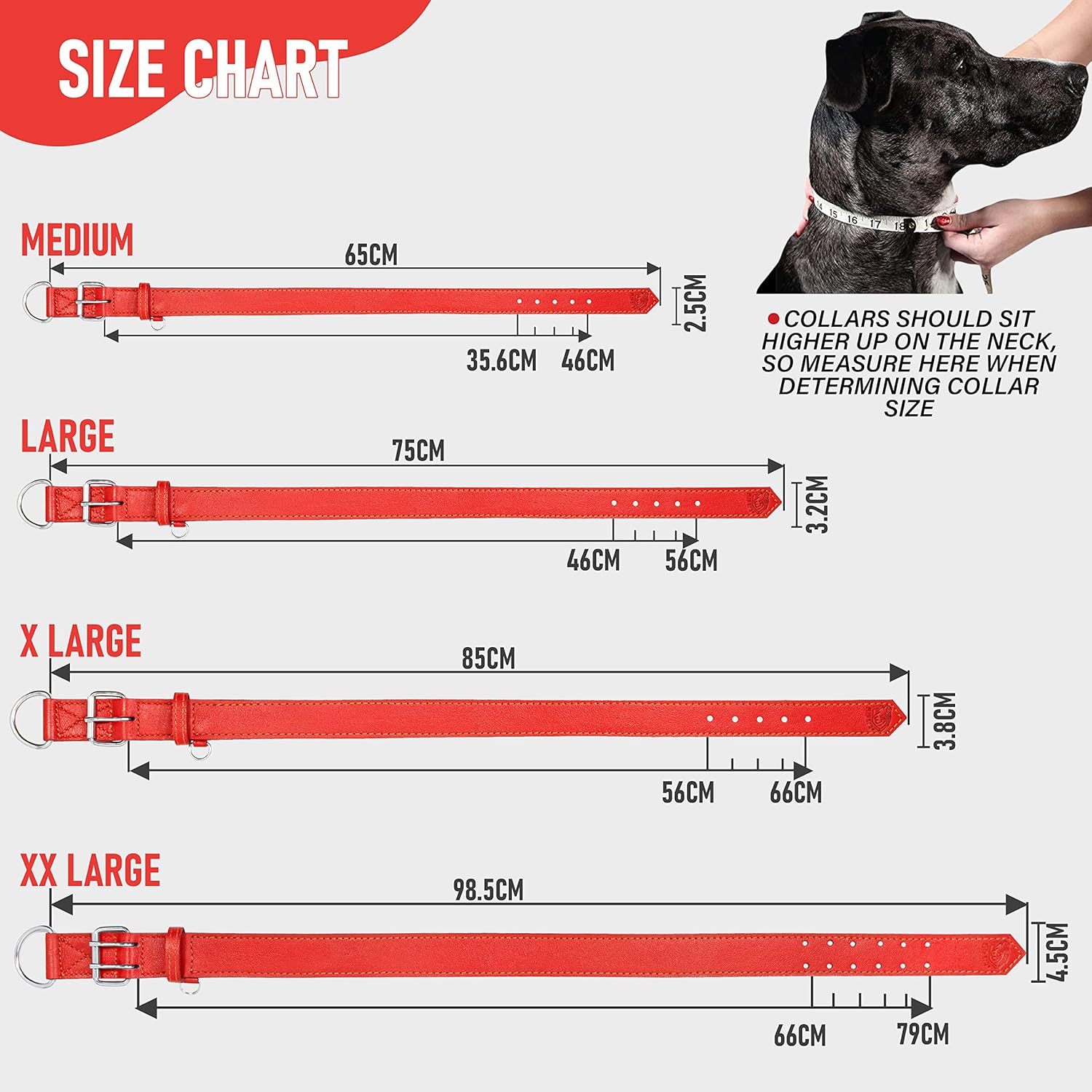 Riparo Dog Collar - Genuine Leather Dog Collars - Heavy Duty Dog Collars for Medium Large and Extra Large Dog Breeds (XXL: 1.75” Wide for 26” - 31” Neck, Red)