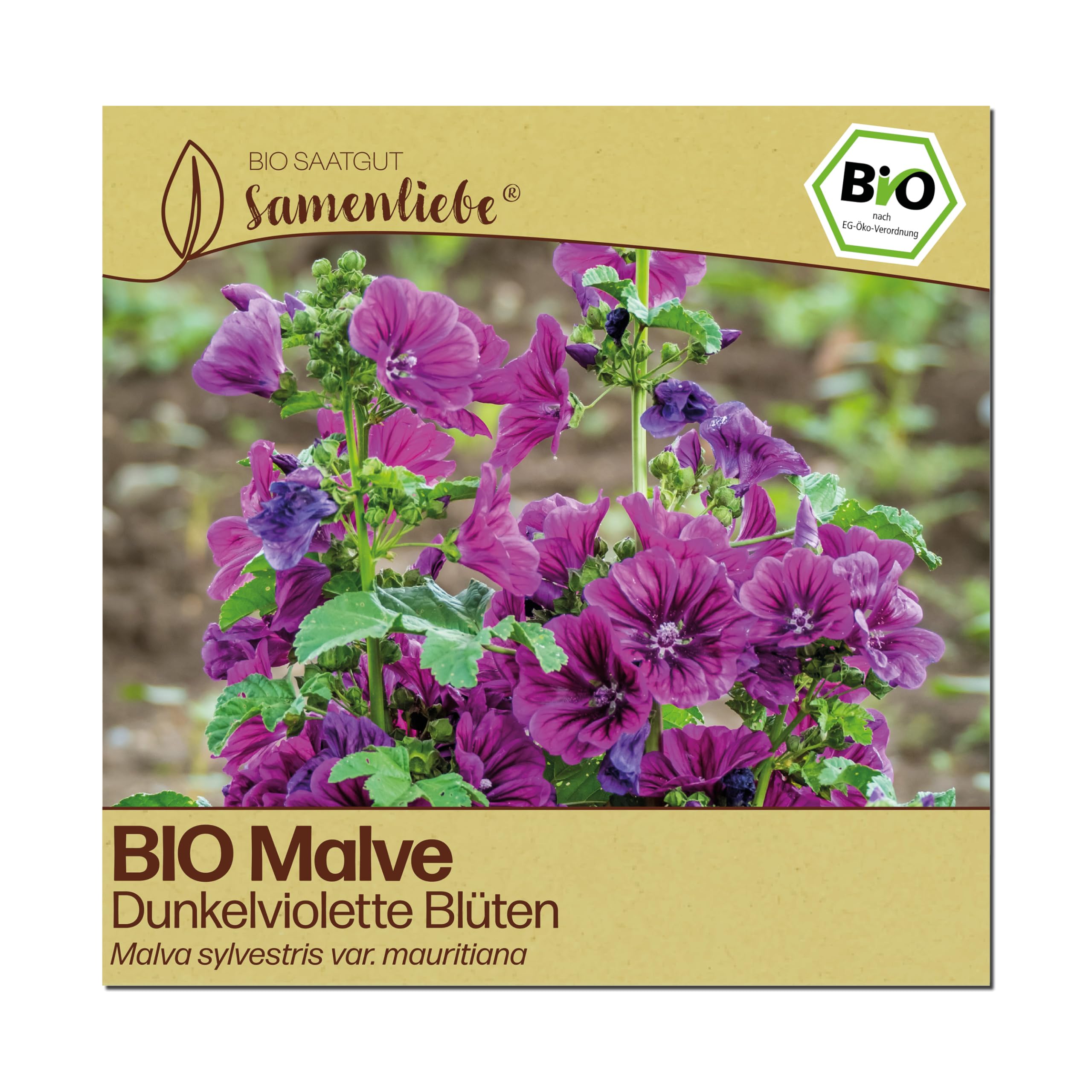 Samenliebe BIO Malven Samen | Heilpflanze - Wildblume - samenfestes BIO Saatgut