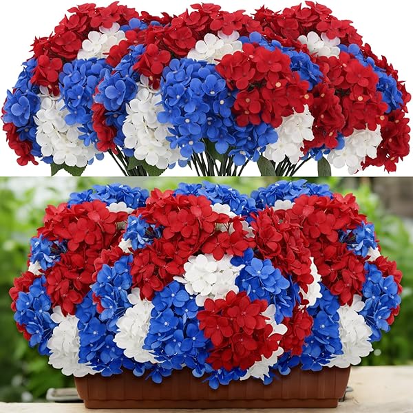 Vibrant Red, White, and Blue Hydrangeas