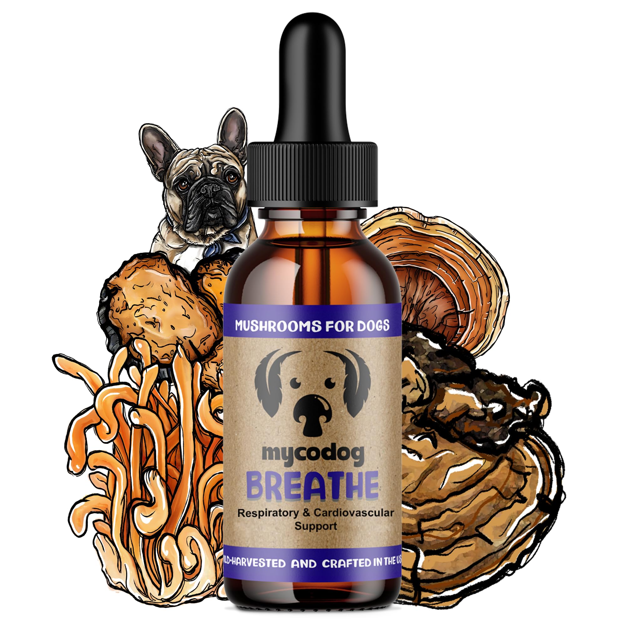 MycoDog Breathe Dog Allergy Relief Drops 2 fl. oz.: Mushroom Extracts & Ashwagandha Tincture | Respiratory Support Itch Relief for Dogs | Chaga &