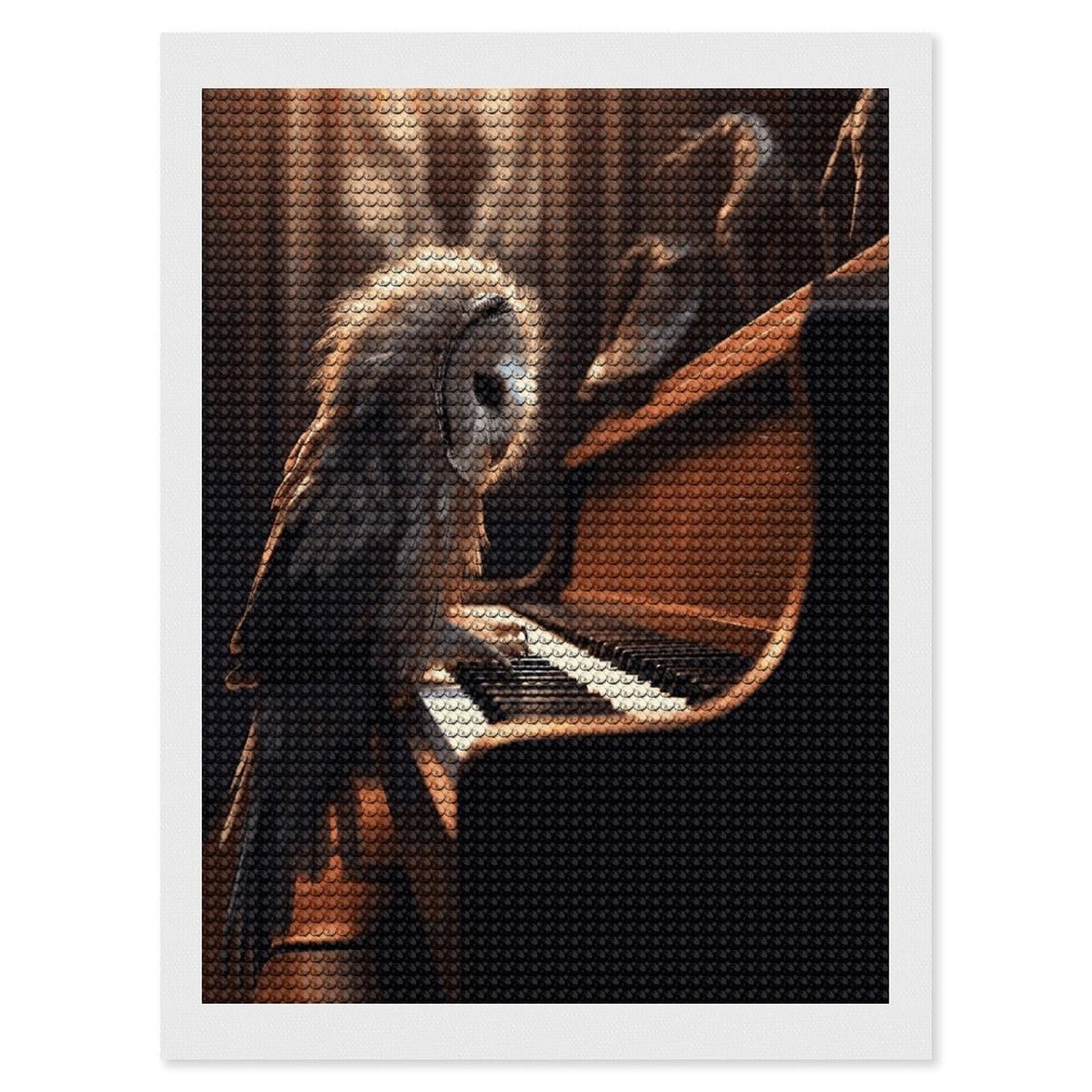 JTREHY Owl Plays Piano Diamond Art Kits Personalized DIY Round Diamond Painting Kits for Beginner Full Drill Diamonds Dots Paintings for Adults Gem Art Crafts Home Decor