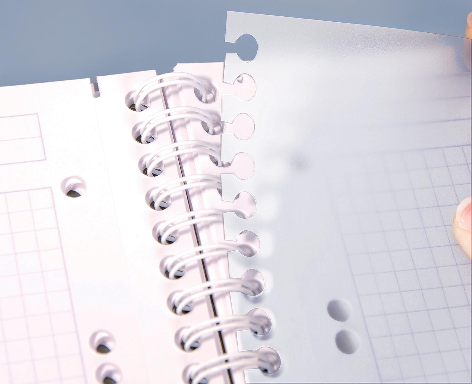 Clairefontaine 329156C Linicolor Intensive Evolutiv'Book Cahier à Spirale Perforé - A4+ 22,5x29,7cm 240 Pages Détachables Lignées Cadrées avec Marge - Papier 90g - Couverture Polypro Couleur Aléatoire      Office Product