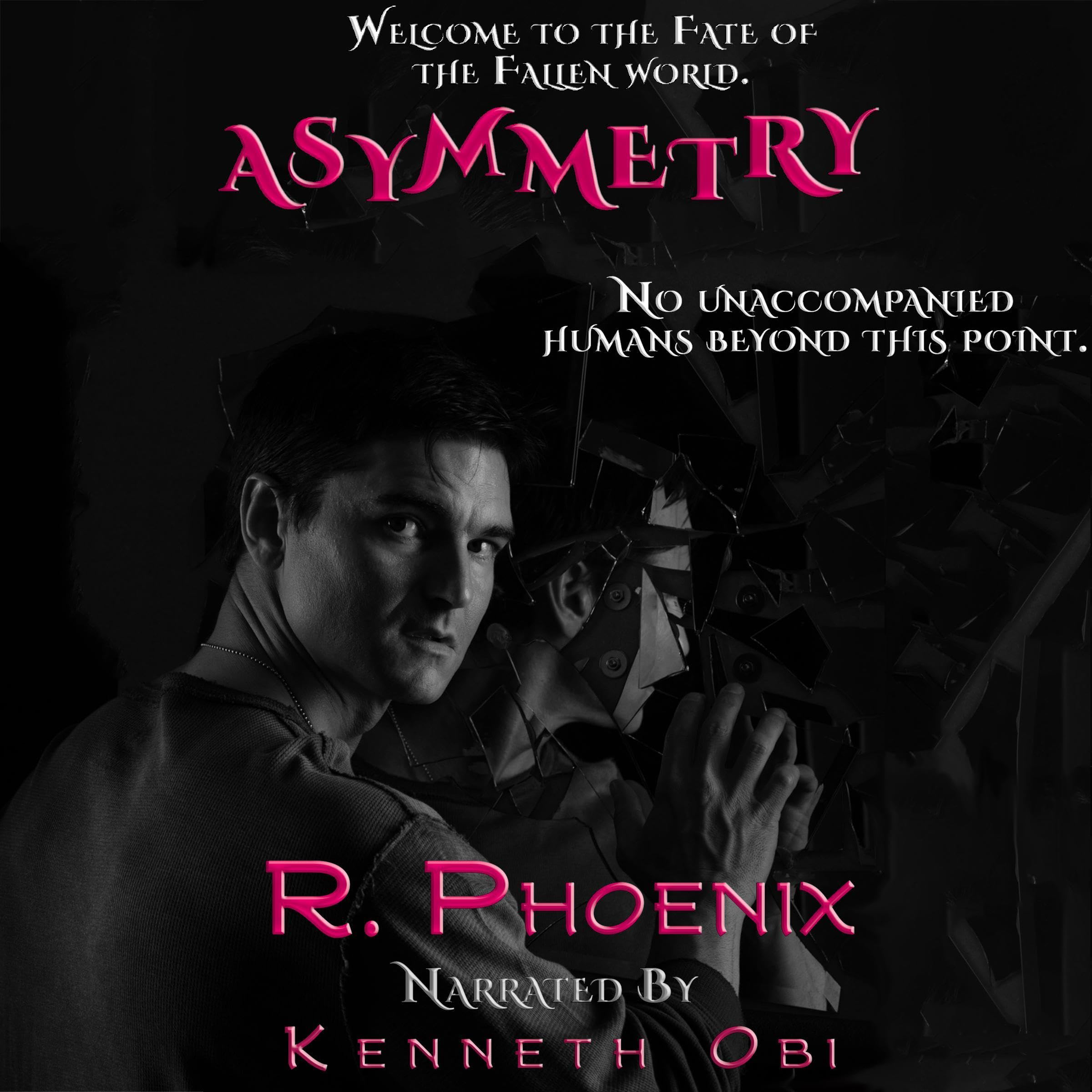 Cover art for Asymmetry: A Fate of the Fallen Standalone