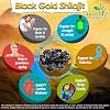 Black Gold Pure Himalayan Shilajit Resin, Natural Source of Fulvic Acid - 50 grm/ml - 1.7 Fl Oz