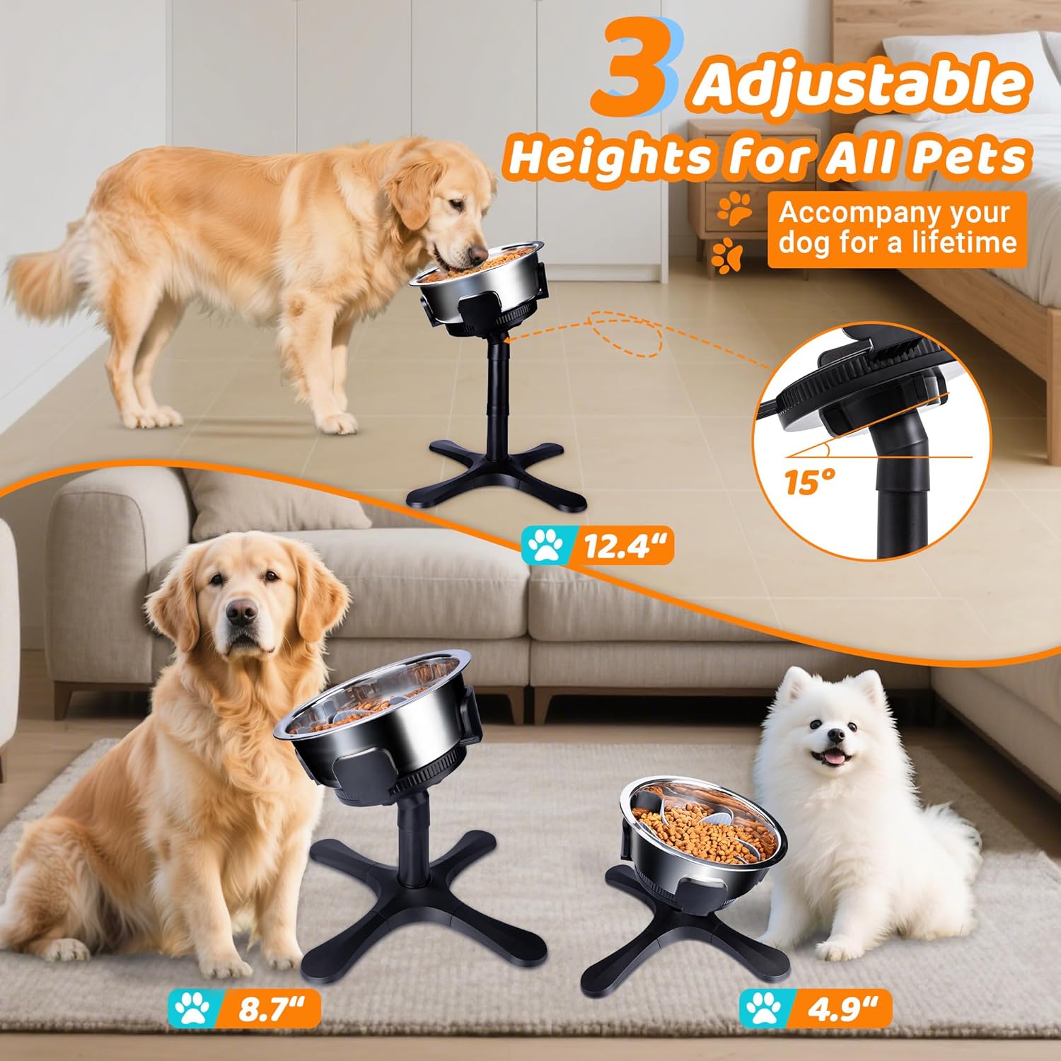 https://m.media-amazon.com/images/I/81c2ZGh9urL._AC_SL1500_.jpg