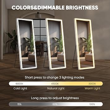 LED Rectangular Full Length Mirror, 64L x 21W Body Standing Mirror