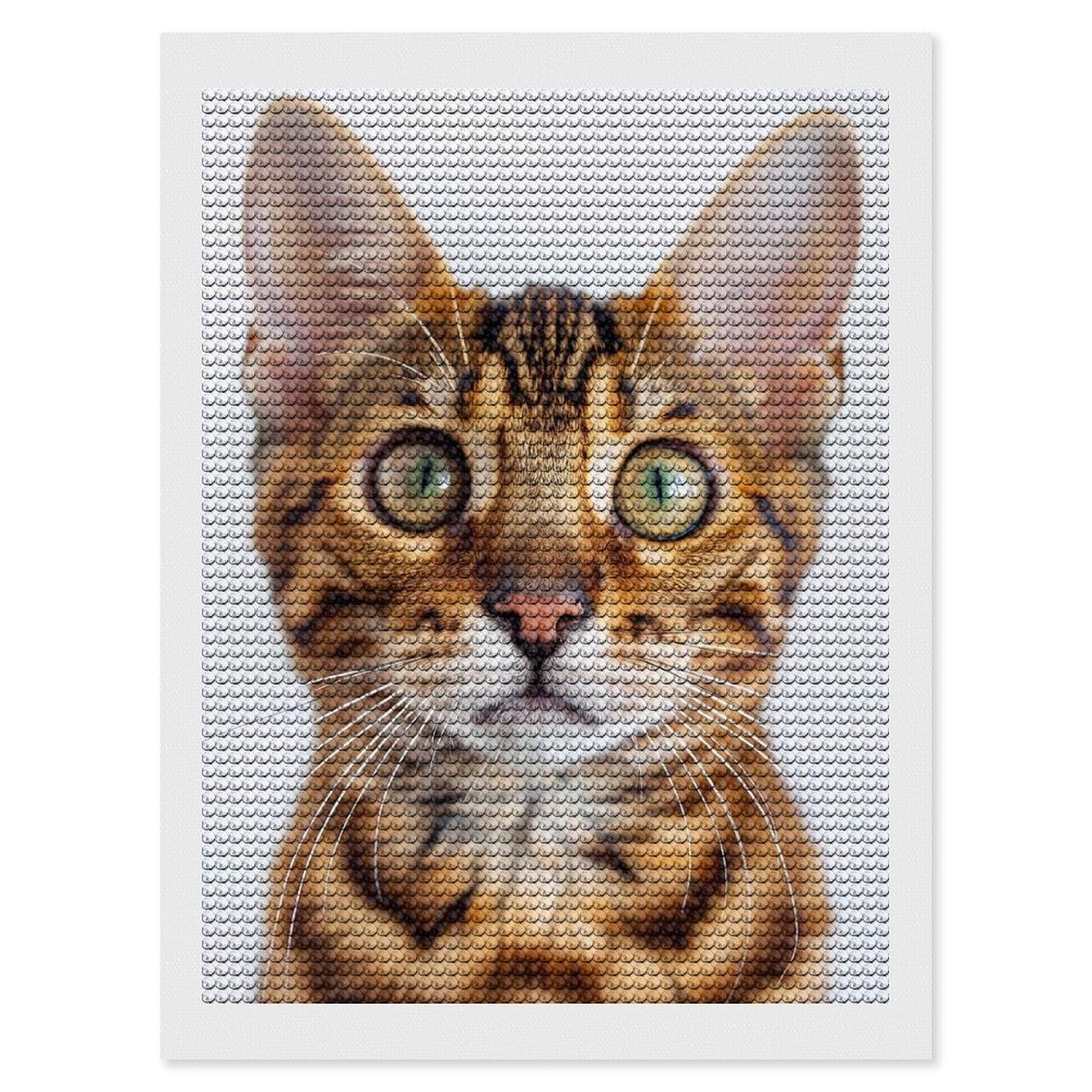 Junmoney Bengal Face DIY Diamond Art Canvas Kit 12"x16", Winter Craft, Mindful Craft Project, Aesthetic Room Decor, Decor Project