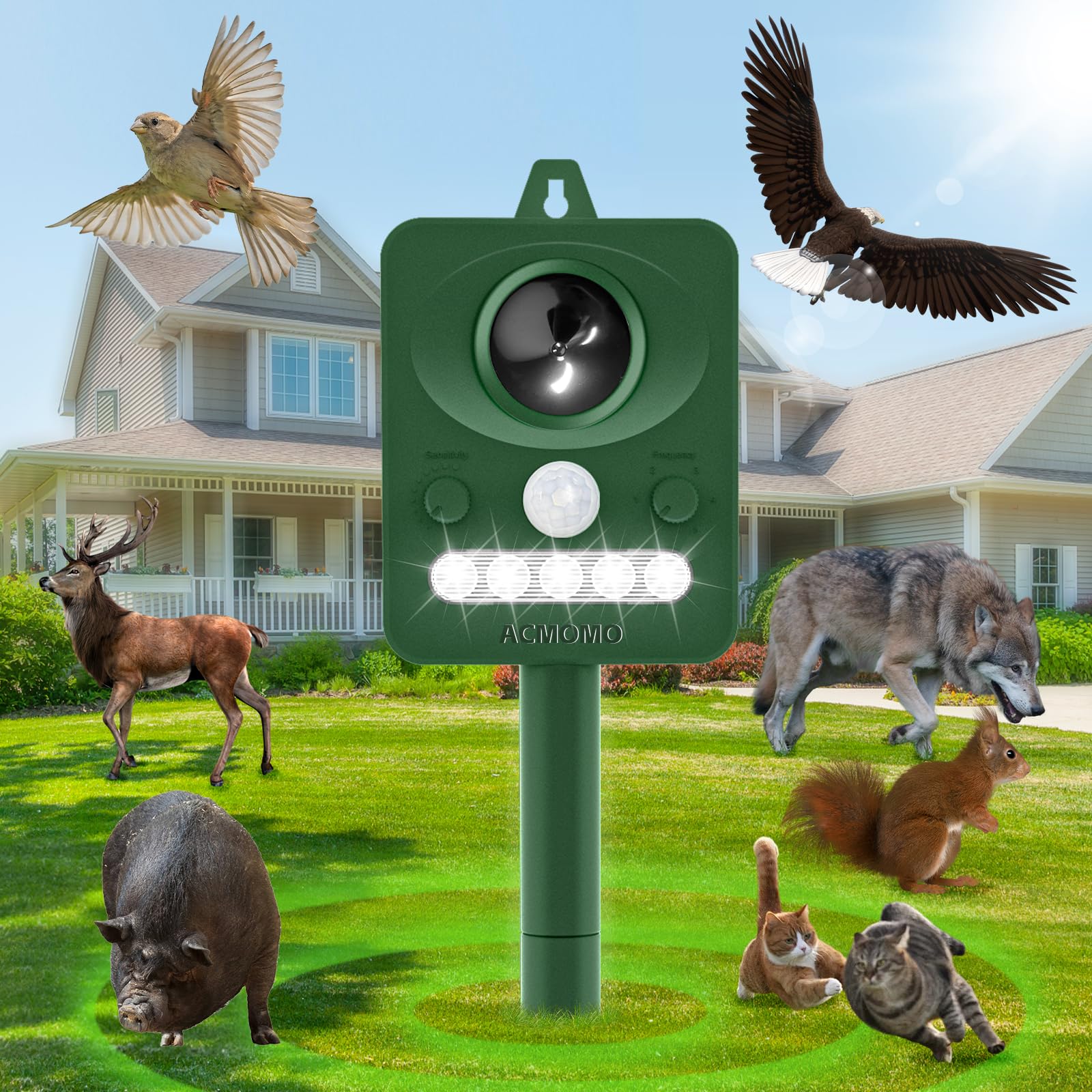 Répulsif Chat Ultrason, Extérieur Puissant et Étanche avec Capteur de Mouvement 15m, Recharge Solaire/USB, Repulsif Chien et Animaux,Anti Pigeons pour Balcon