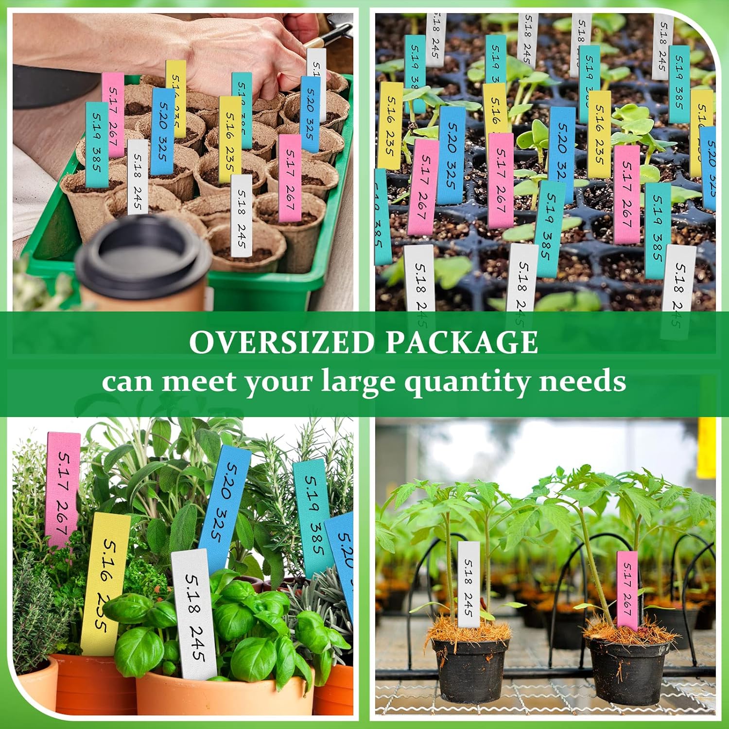 Geetery 2000 Pcs Plastic Plant Labels 4'' Garden Plant Markers Nursery Name Tags Waterproof Pot Label Stakes Planting Sticks for Seeds Summer Outdoor Indoor Garden Flowers(Mix Color) - Image 5