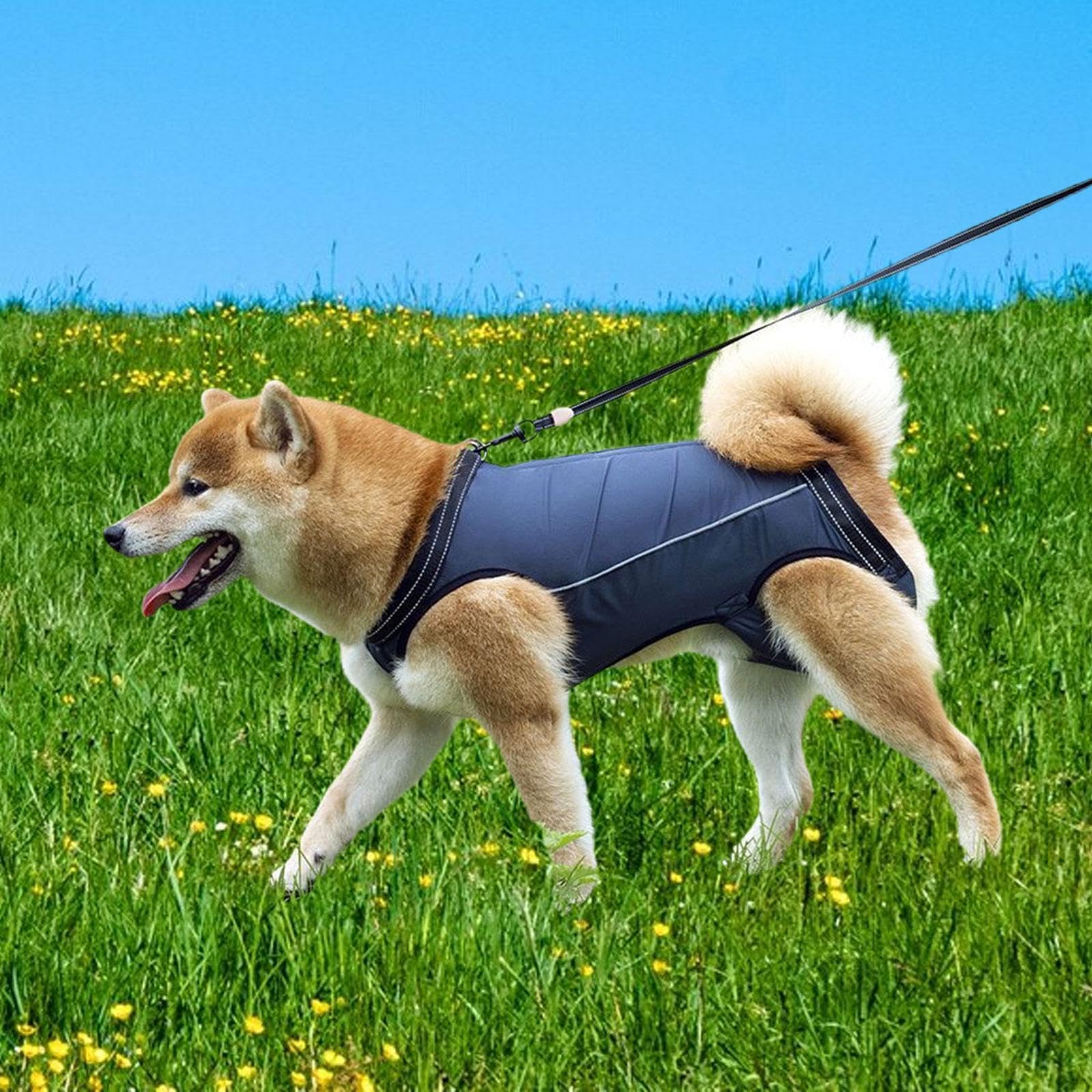 Homyl Arnés para Mascotas Correa Transporte Perro Arnés Levantamiento Portátil Acolchado Material Suave Transpirable Adecuado para Perros con Movilidad, SG