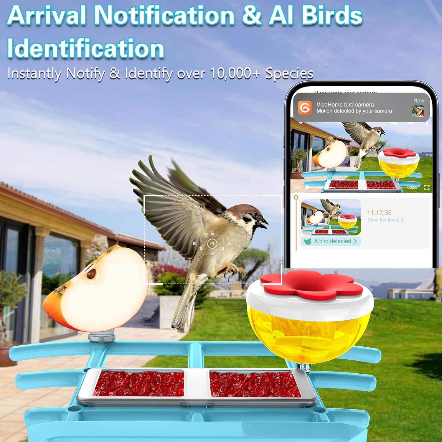 TayePin Bird Feeder with Camera Solar Powered & AI Identify 10,000+ Birds Species, 2.4Ghz WiFi Smart Feeding, 2K HD Live Video for Outdoor, IP65 Waterproof, Instant Arrival Alerts, Bird Lover Gifts
