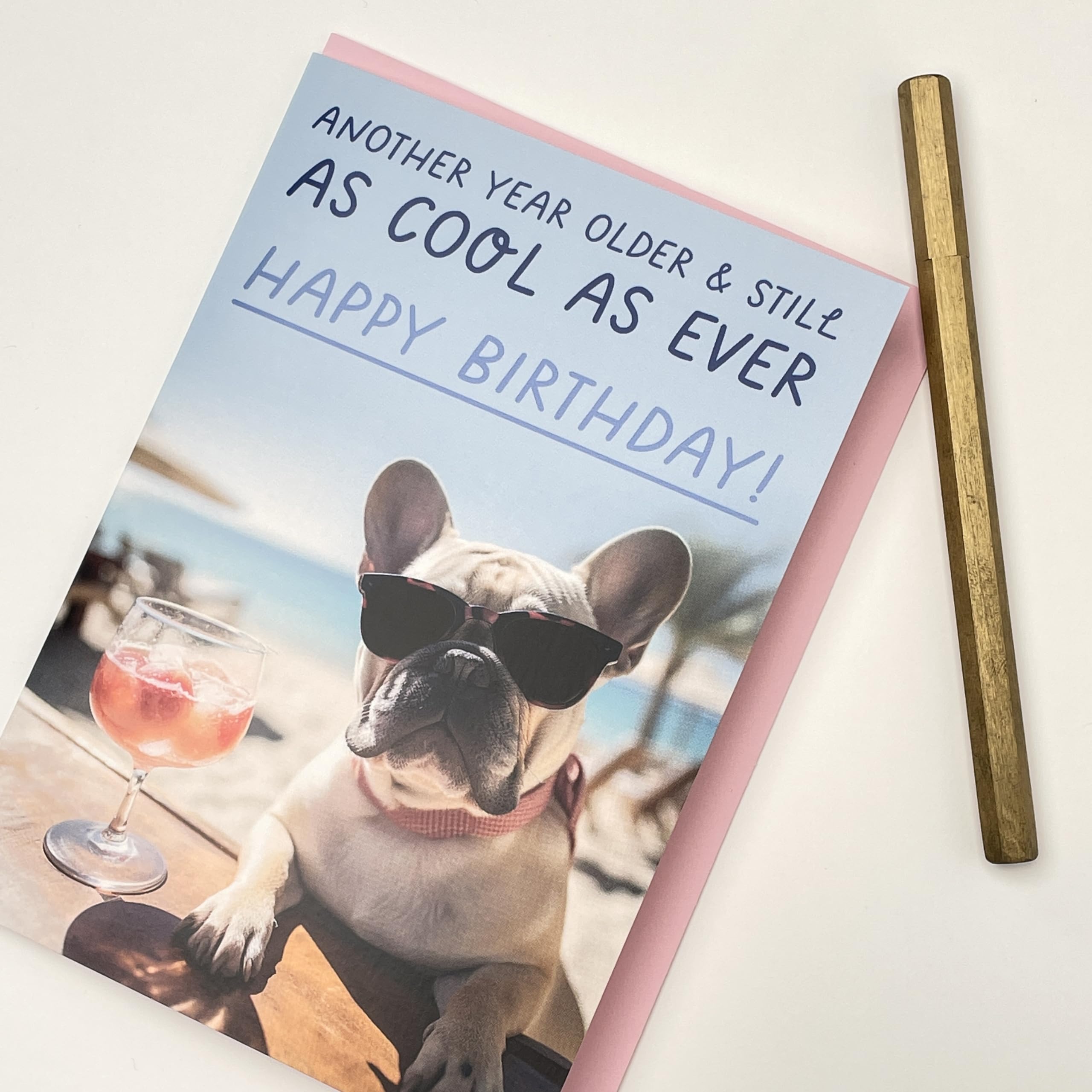 Old English Co. Tarjeta In Dog Years You're Old – Divertidos Saludos De  Cumpleaños De Animales, image size:2560x2560