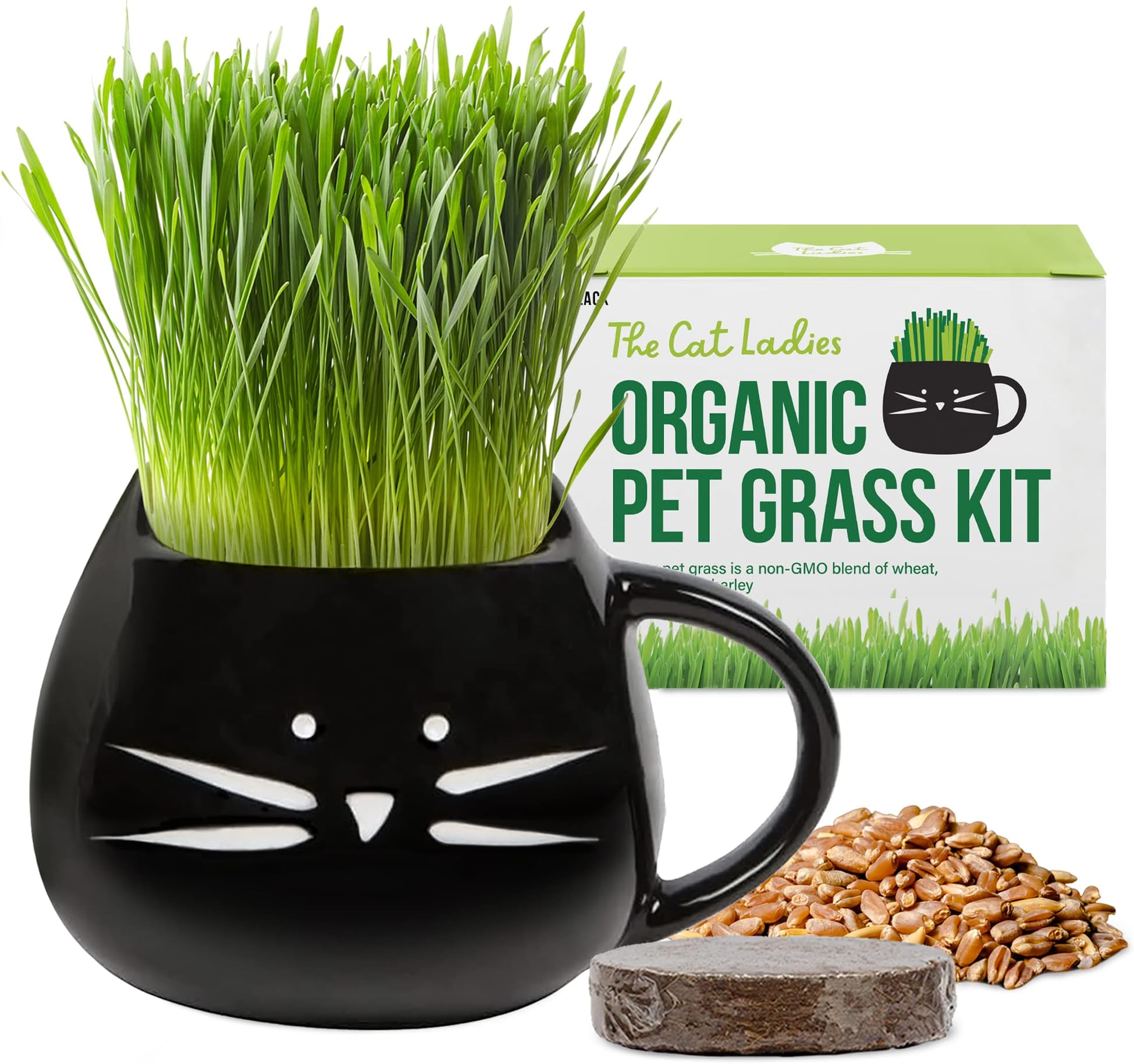 Organic Cat Grass Growing Kit