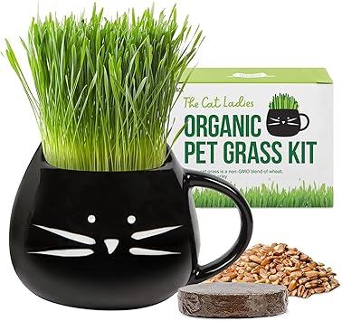 Organic cat Grass Growing kit with Organic Seed Mix & Soil