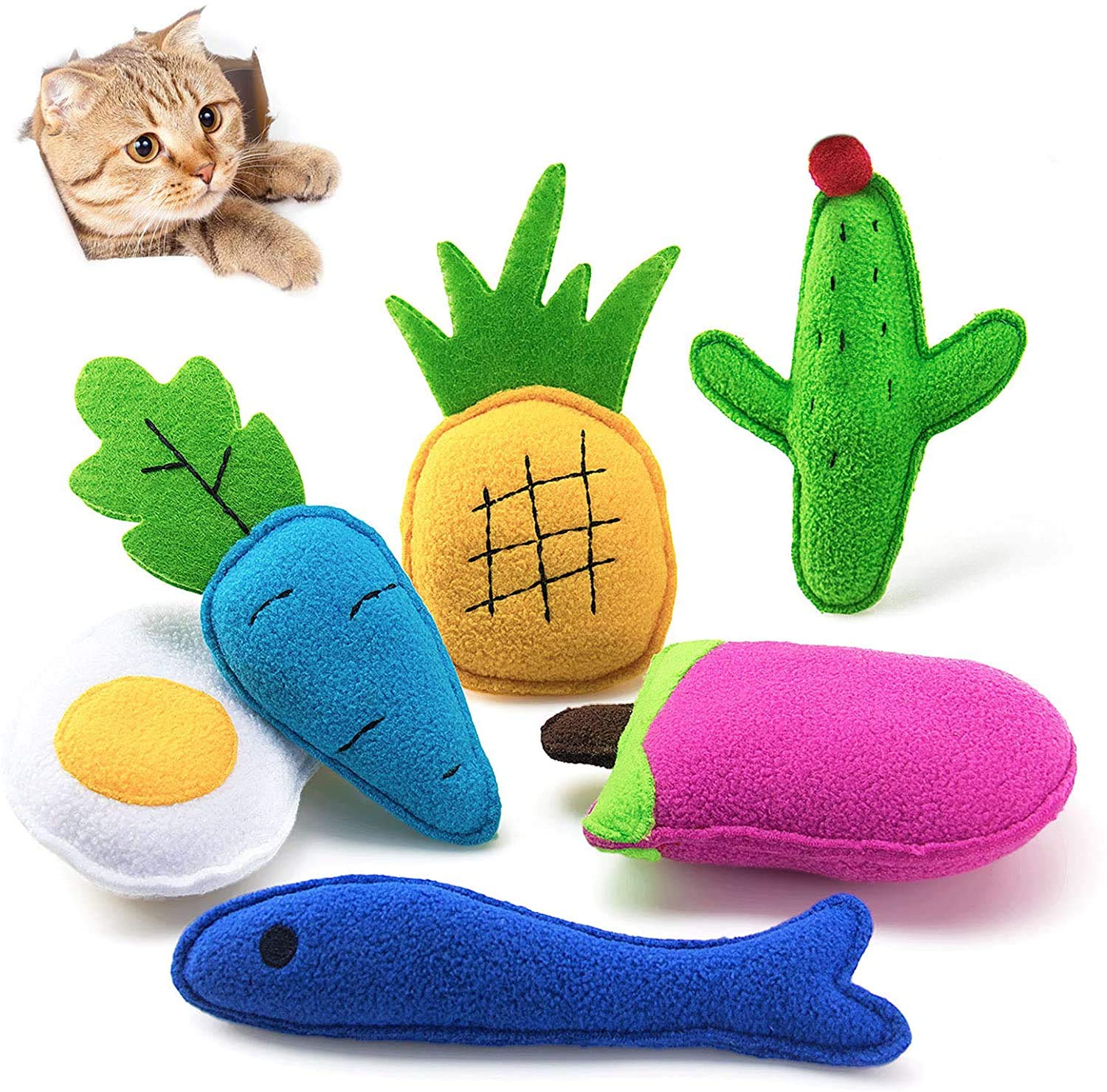 Indoor and Outdoor Kitten, Toys for Indoor Cats