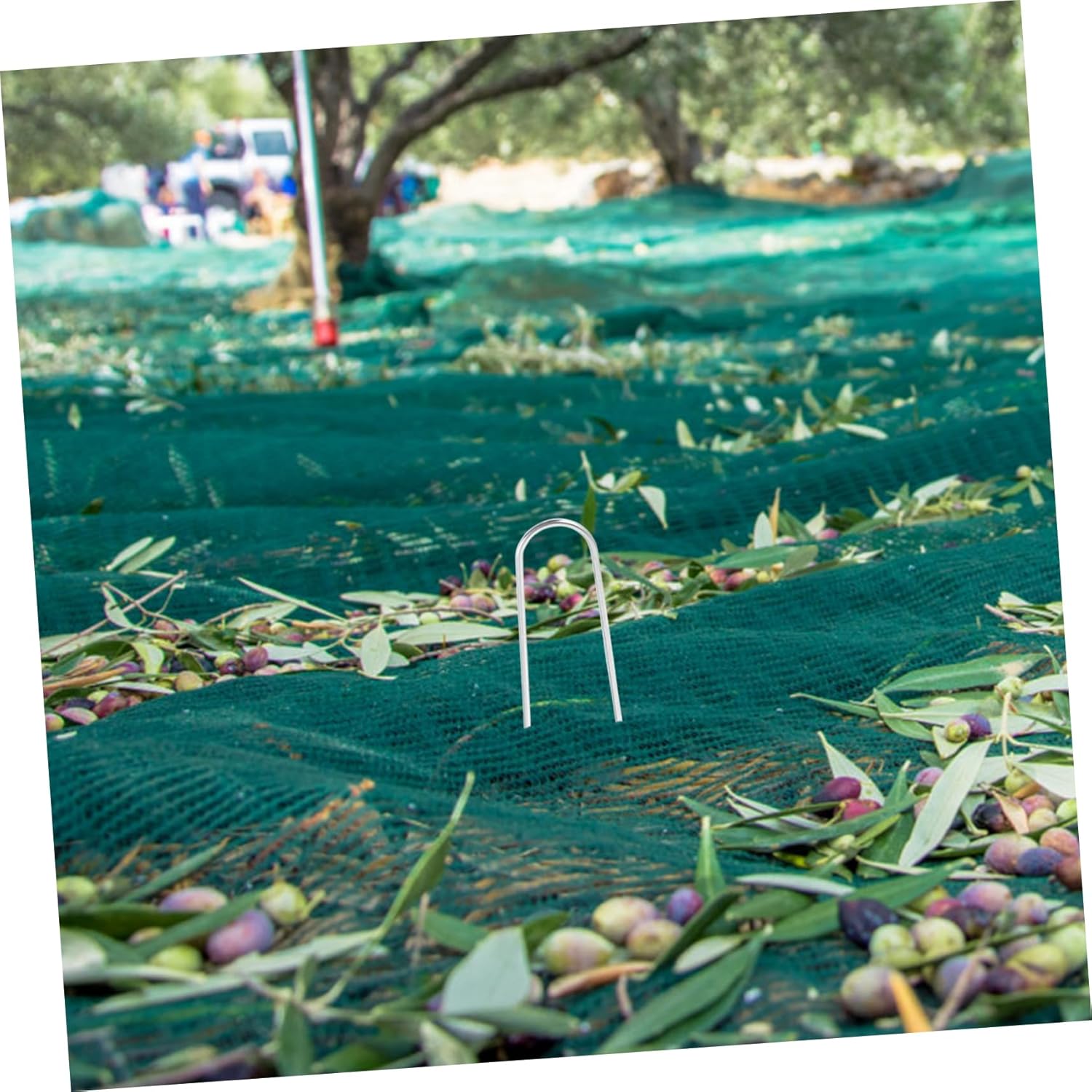 50pcs Garden Mulch Nails Coated Ground Anchor Nails U-Shaped Stakes for Ground Cloth